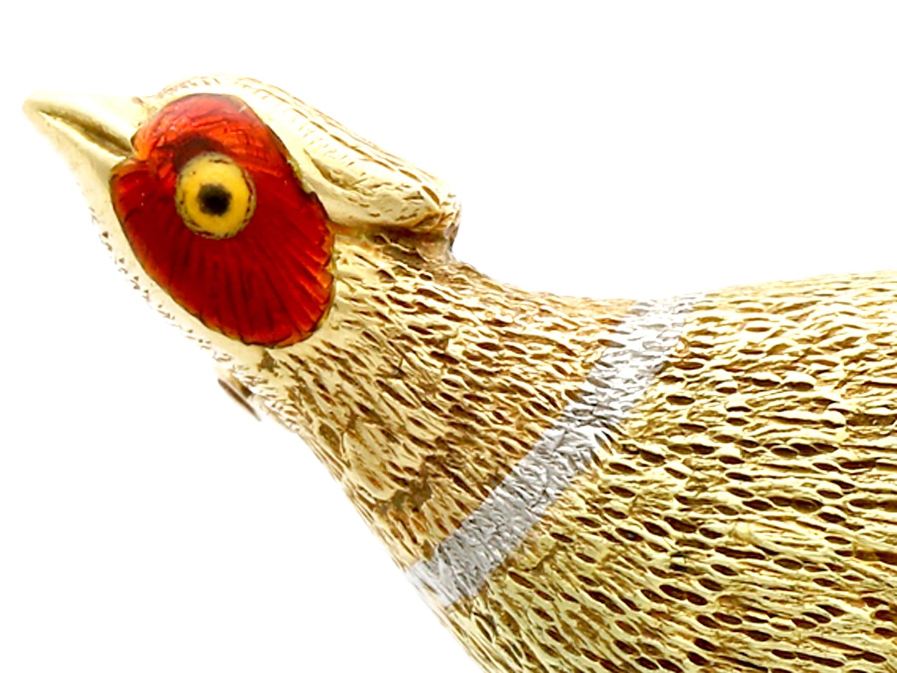 lady emerald pheasant