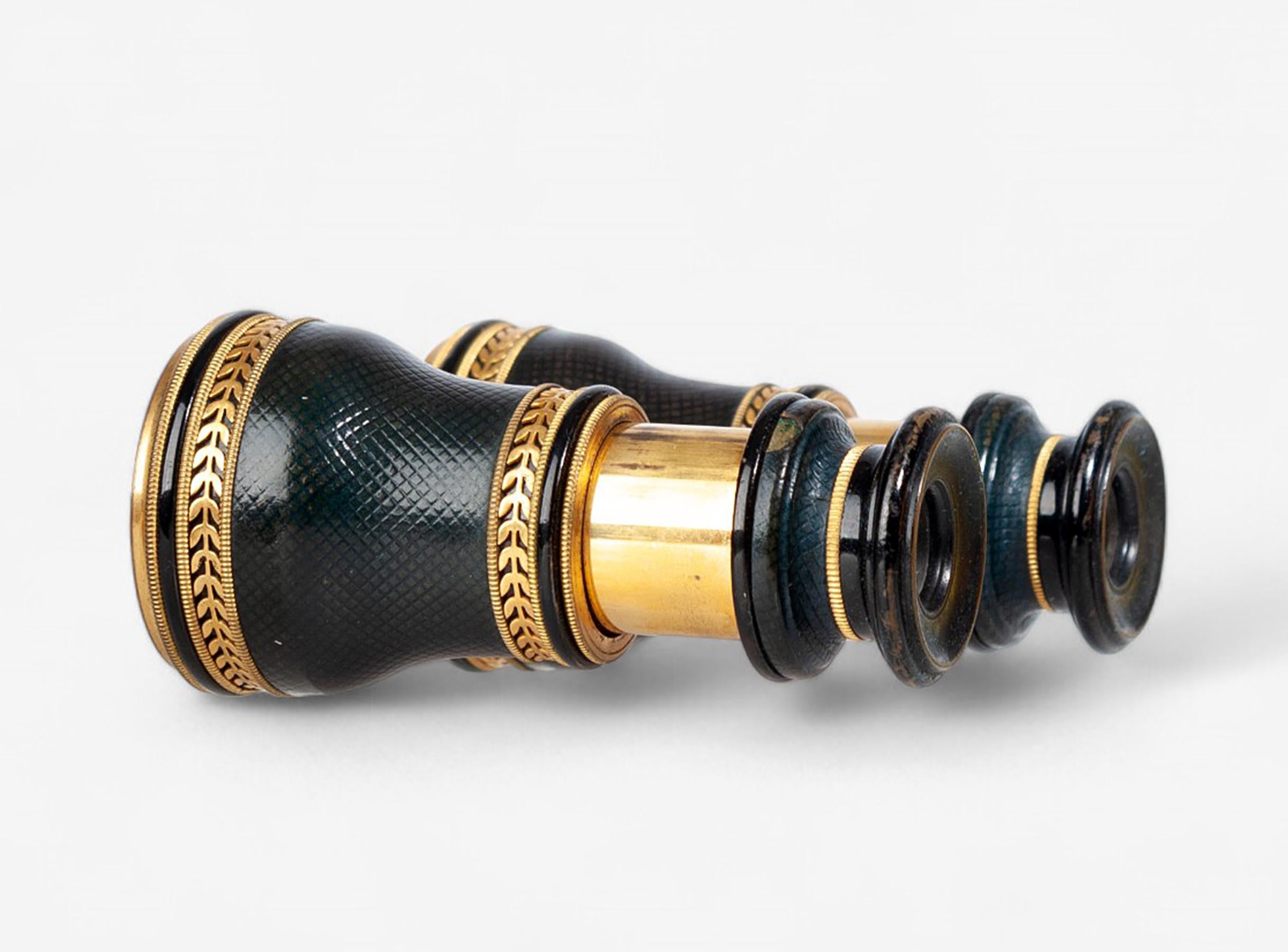 1910s Art Nouveau Lemaire-Like Brass Binoculars/Glasses and Leather Case, France For Sale 4