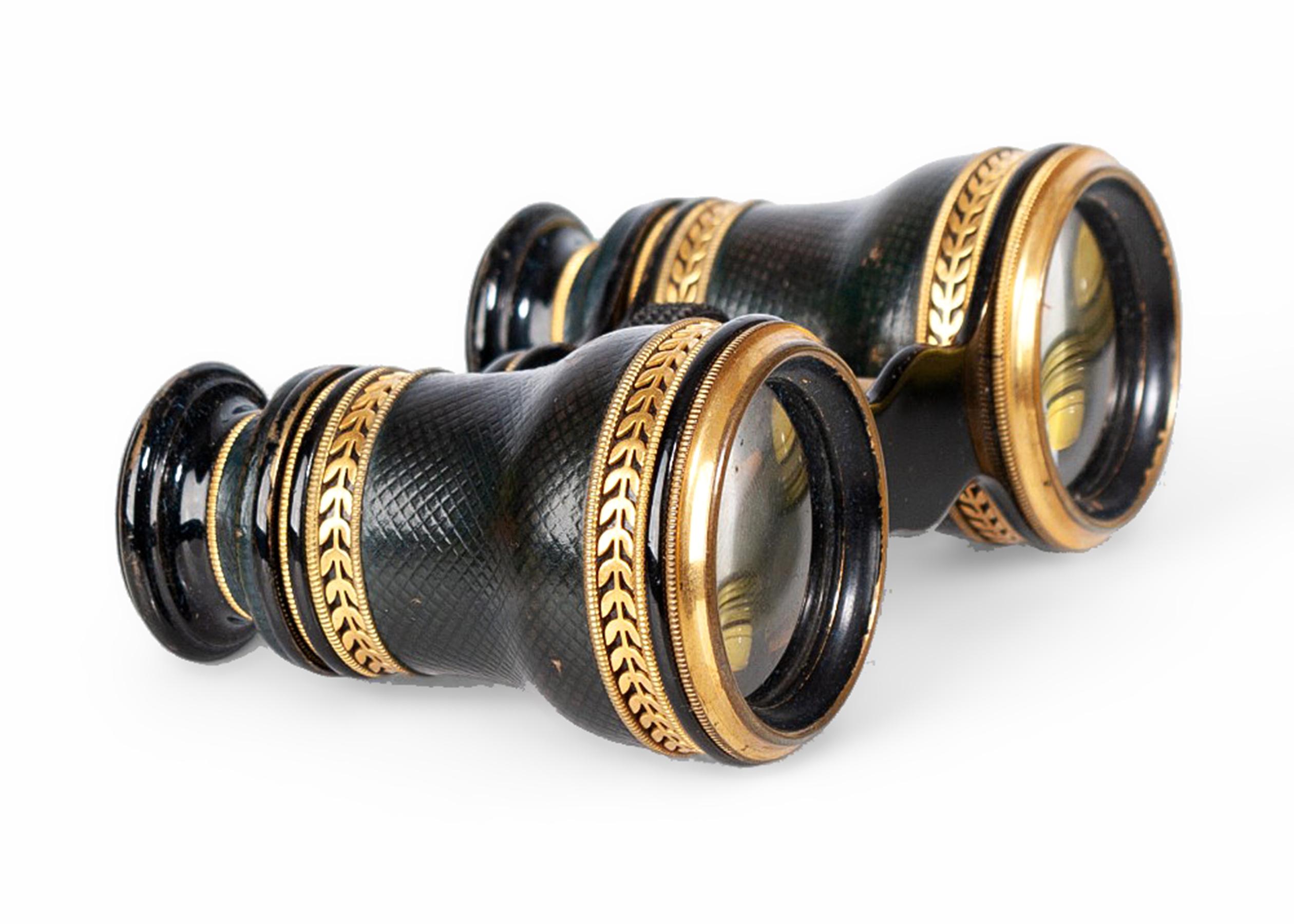 French 1910s Art Nouveau Lemaire-Like Brass Binoculars/Glasses and Leather Case, France For Sale