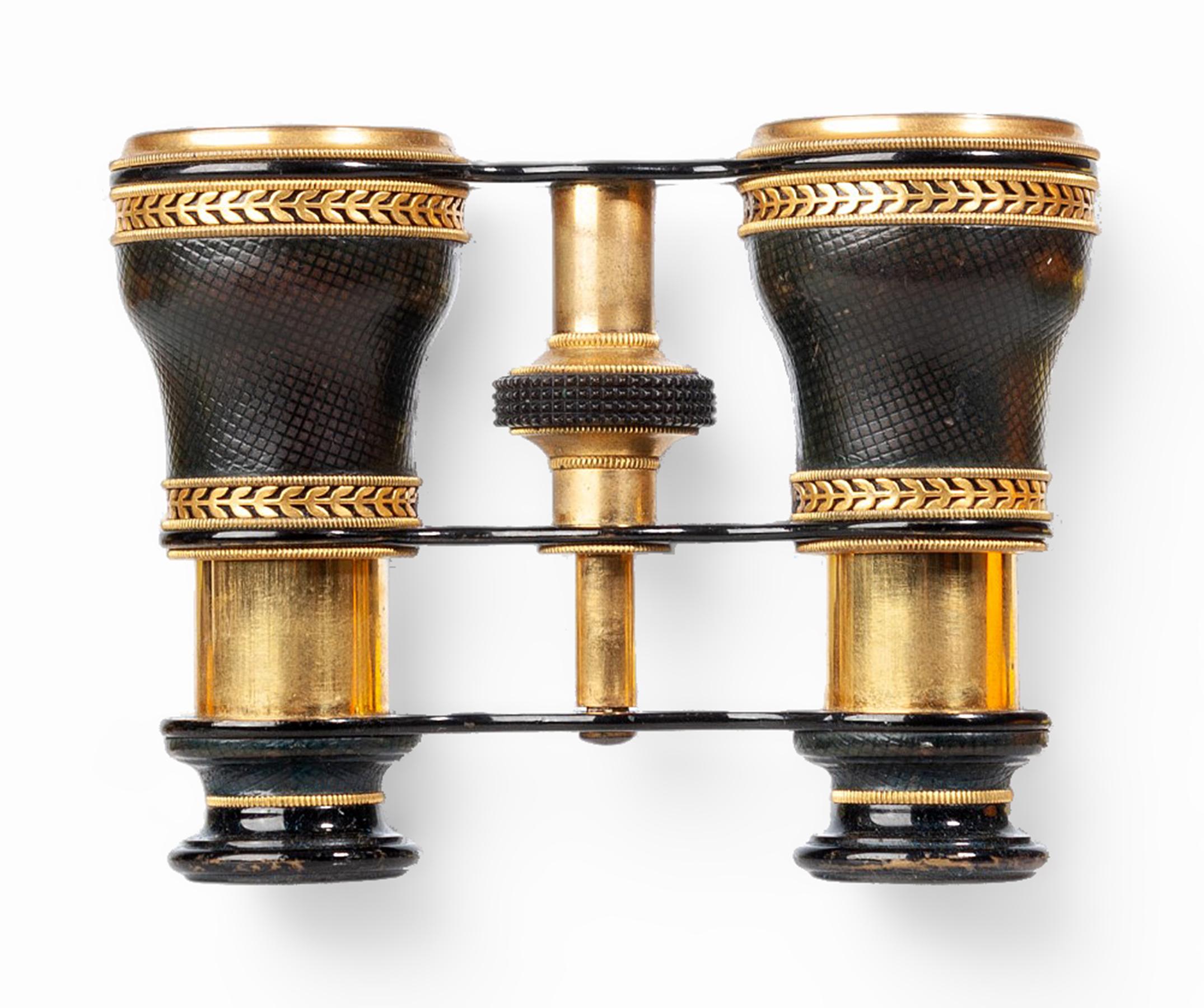 Metal 1910s Art Nouveau Lemaire-Like Brass Binoculars/Glasses and Leather Case, France For Sale