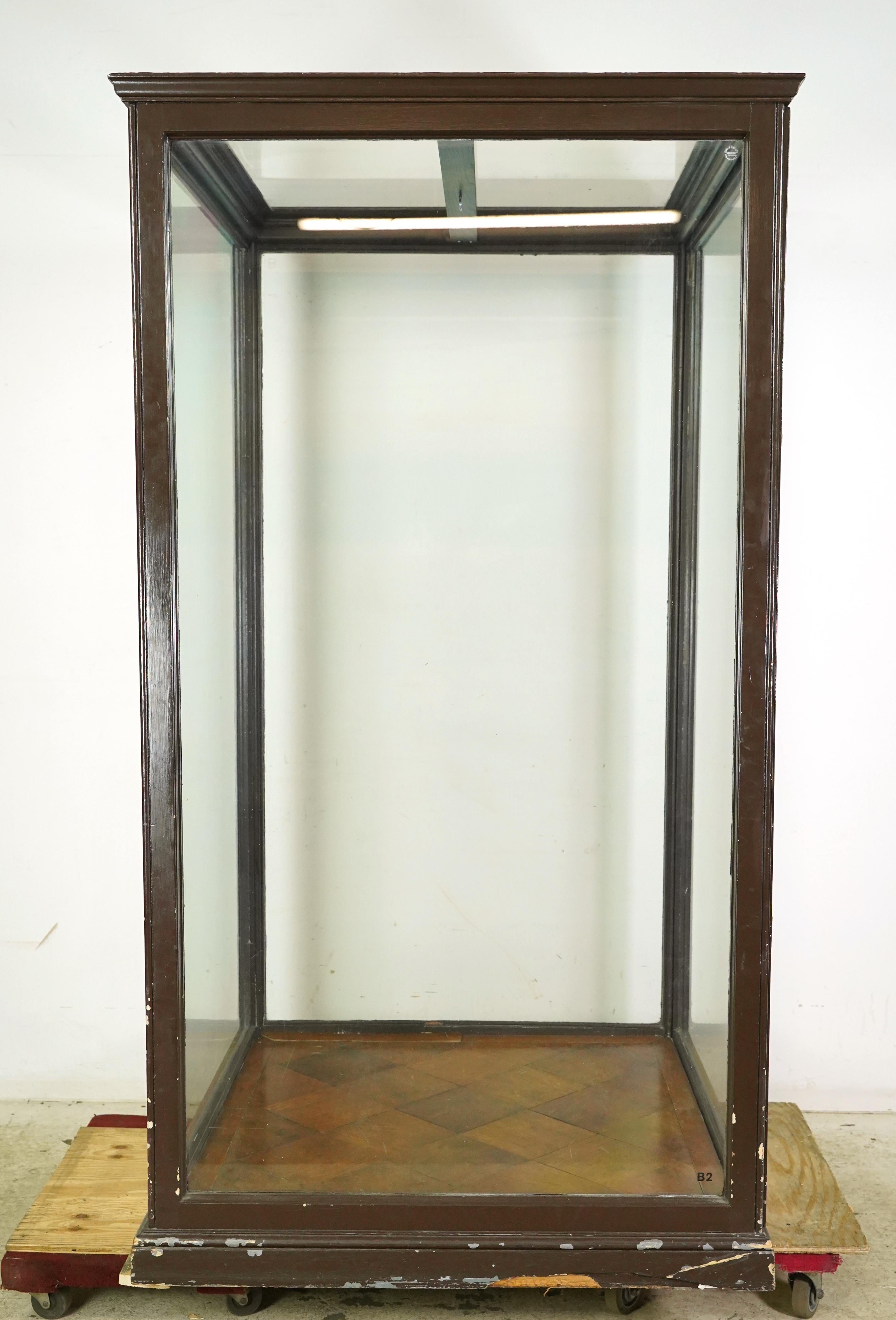 Ottone Vetrina da museo inglese antica degli anni '10 del secolo scorso