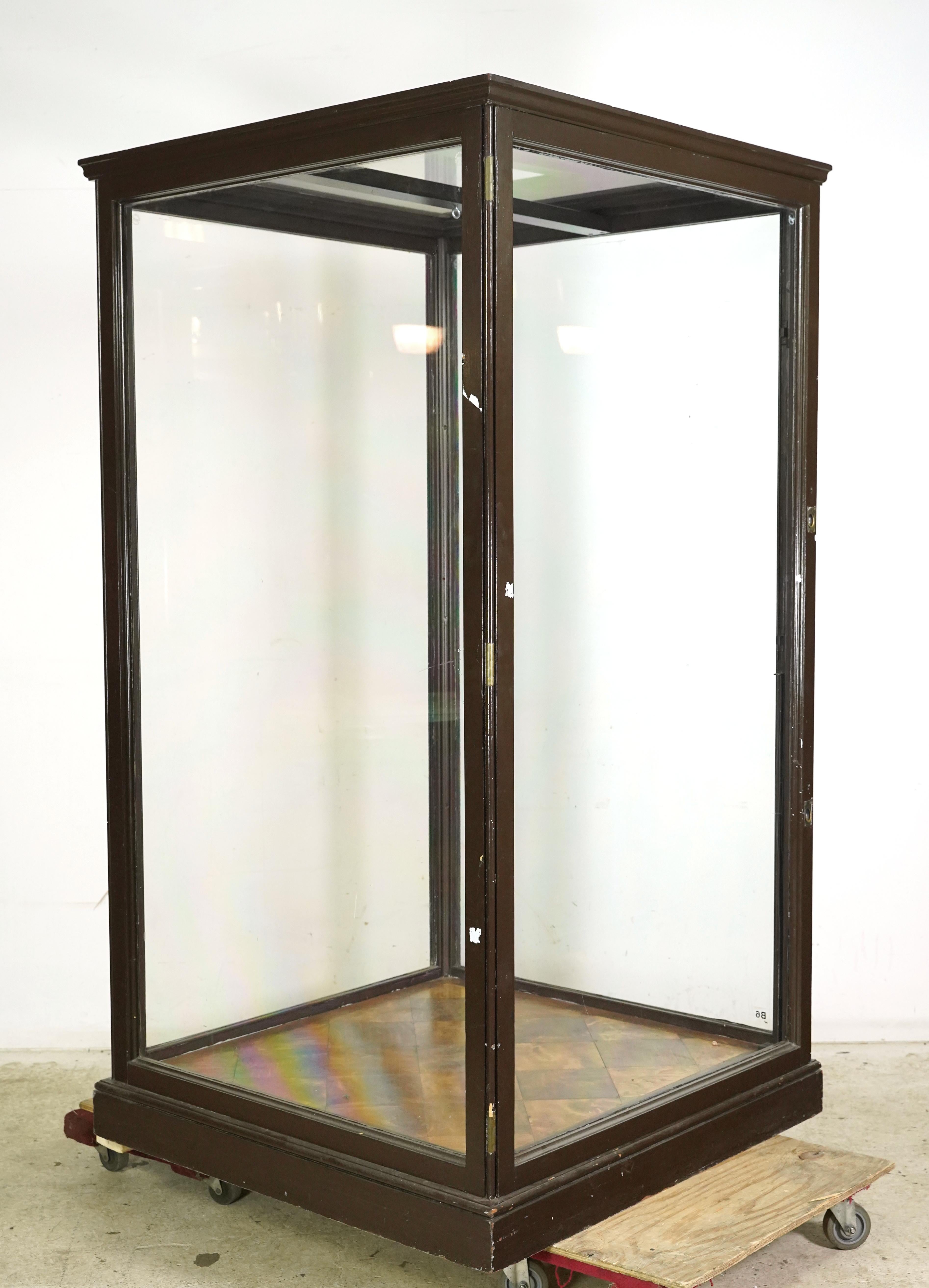 1910er Jahre Riesige englische Museumsvitrine Vitrine im Angebot 5