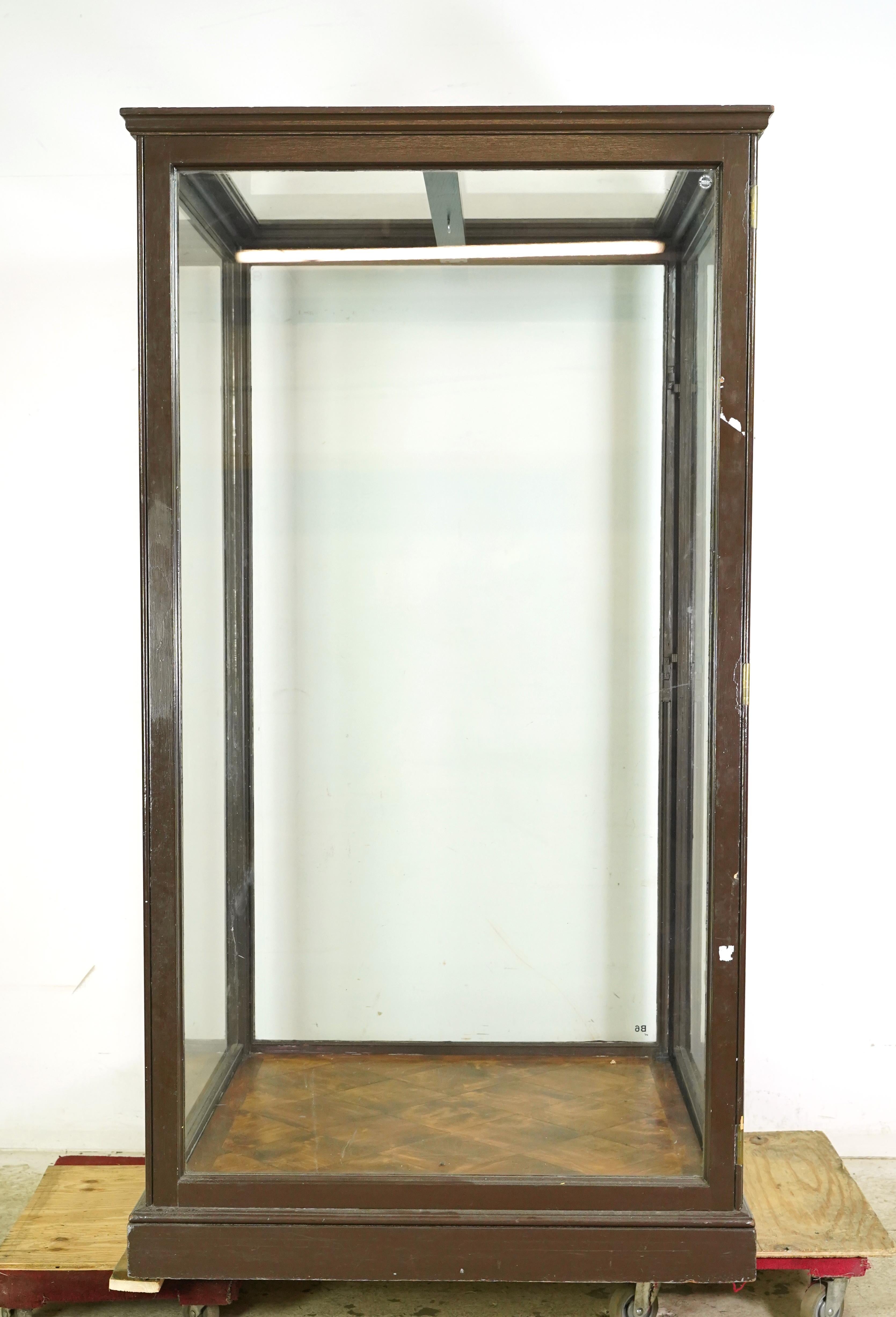 1910er Jahre Riesige englische Museumsvitrine Vitrine im Angebot 6