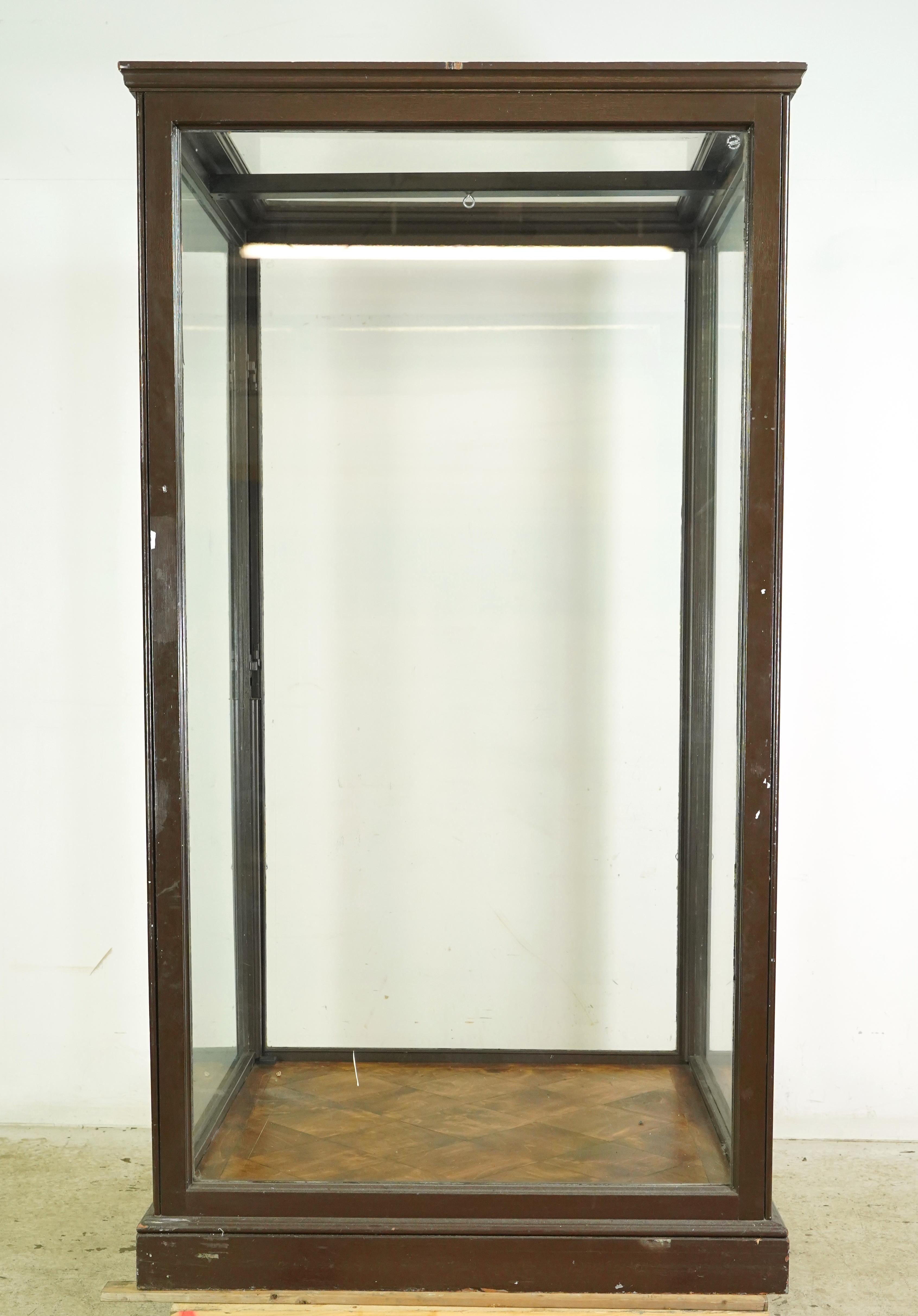 1910er Jahre Riesige englische Museumsvitrine Vitrine im Angebot 8