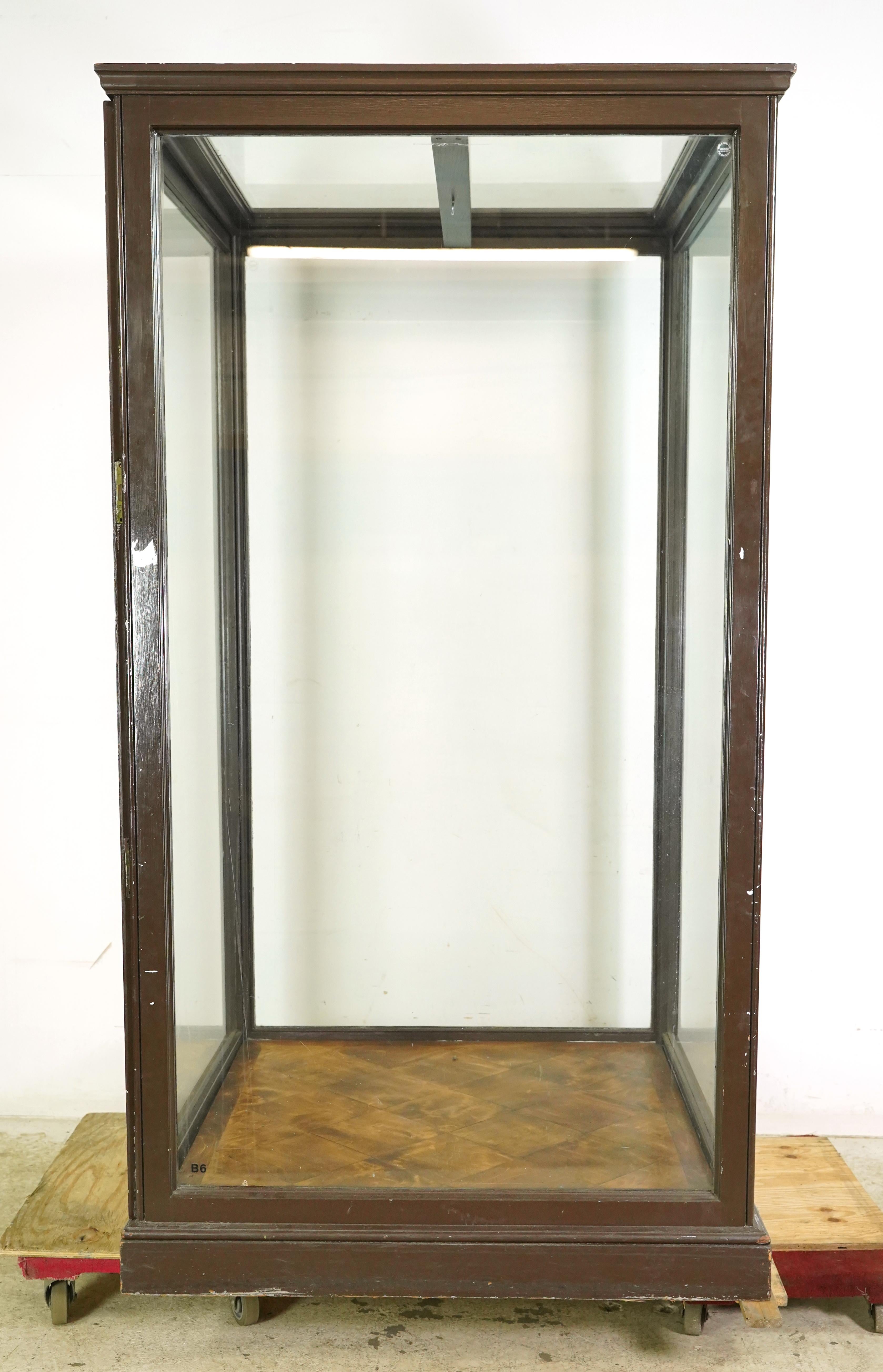 1910er Jahre Riesige englische Museumsvitrine Vitrine im Angebot 9