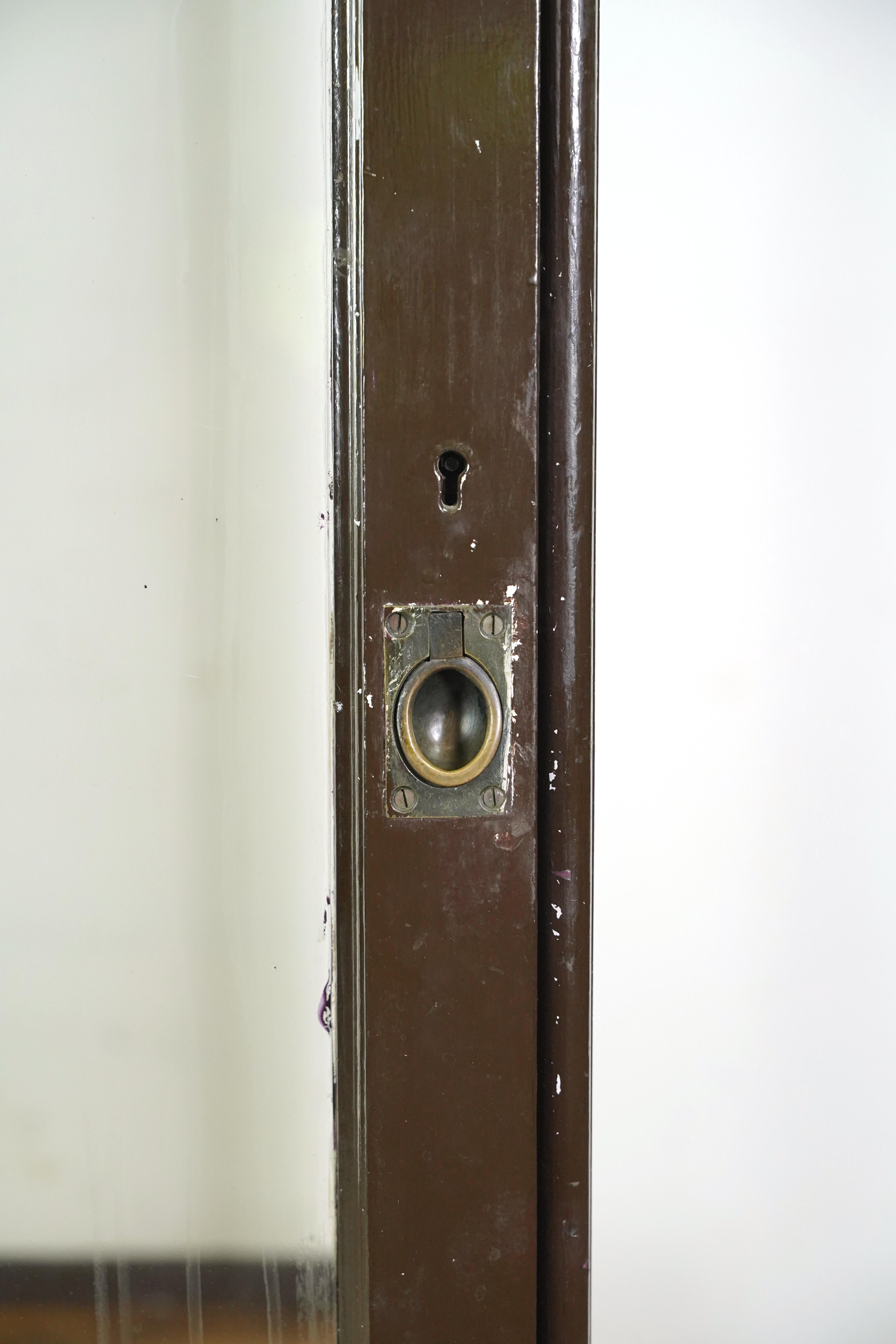 1910er Jahre Riesige englische Museumsvitrine Vitrine (Industriell) im Angebot