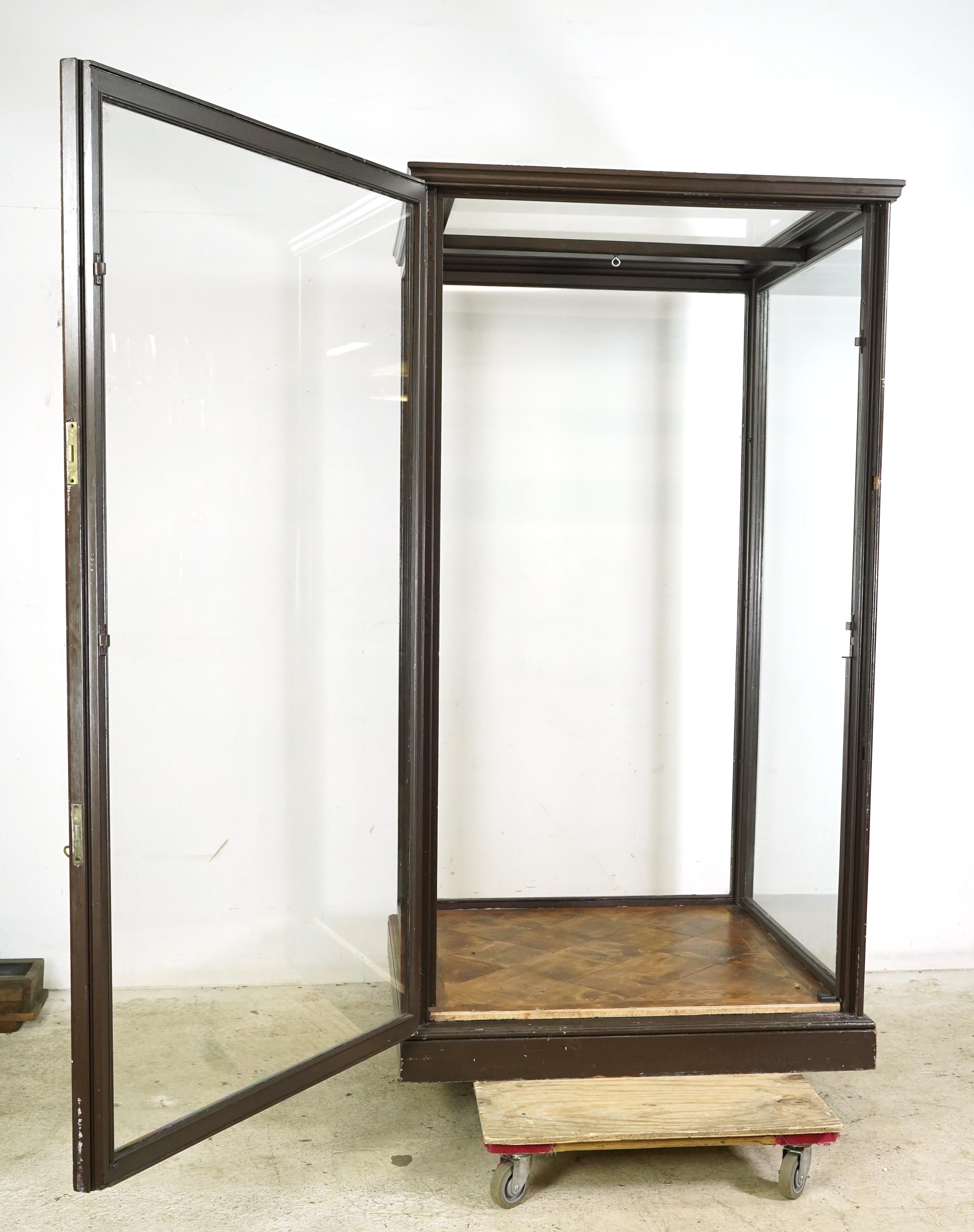 1910er Jahre Riesige englische Museumsvitrine Vitrine (Frühes 20. Jahrhundert) im Angebot