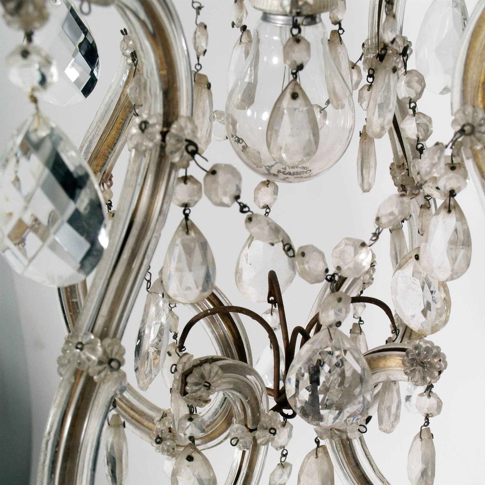 20th Century 1910s Murano Maria Teresa Chandelier by Salviati with Restored Electrical System