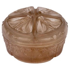 1911 Rene Lalique Box Quatre Papillons Butterflies Glass with Sepia Patina