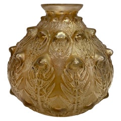 1912 René Lalique Fougeres Vase in Frosted Glass with Sepia Patina, Ferns