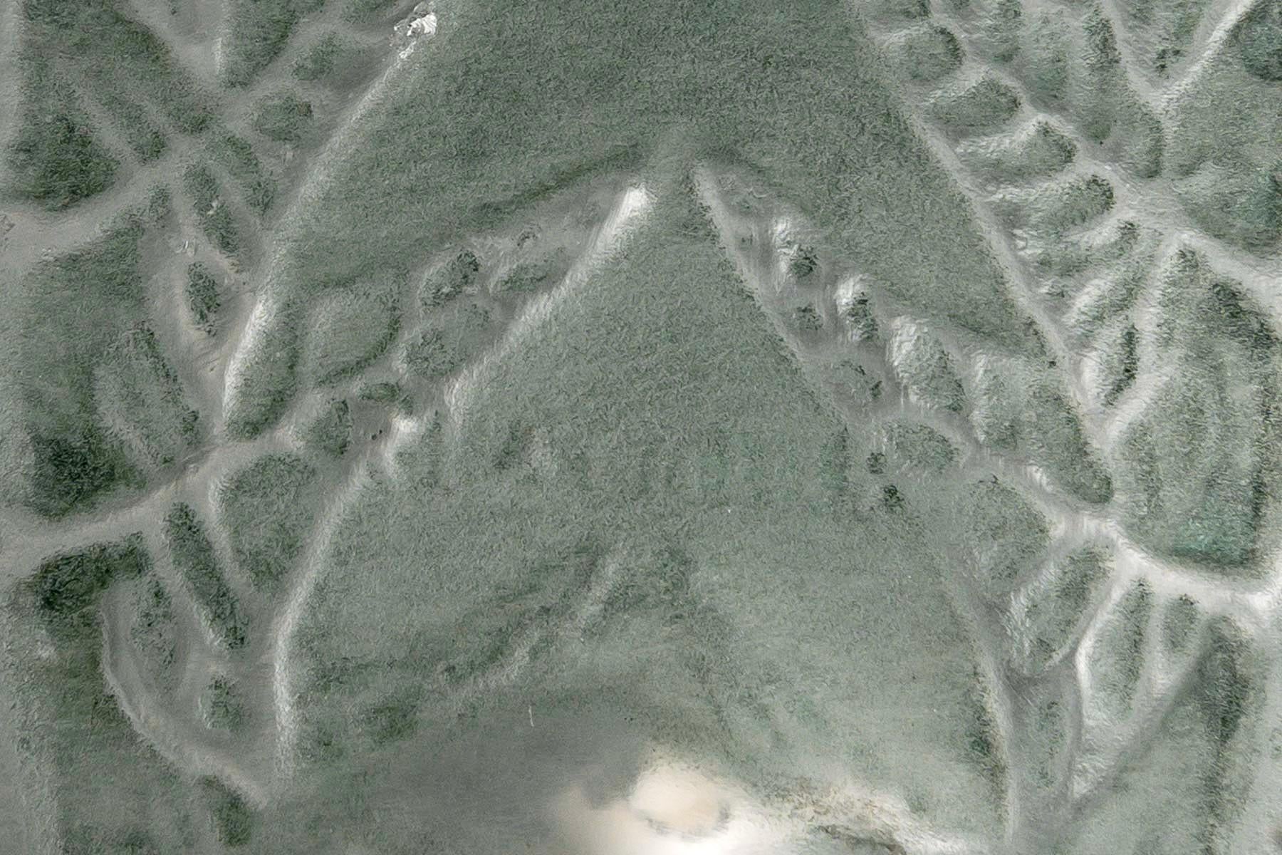 Inizio XX secolo Vaso René Lalique del 1912 in vetro con patina verde e felci di Fougeres in vendita