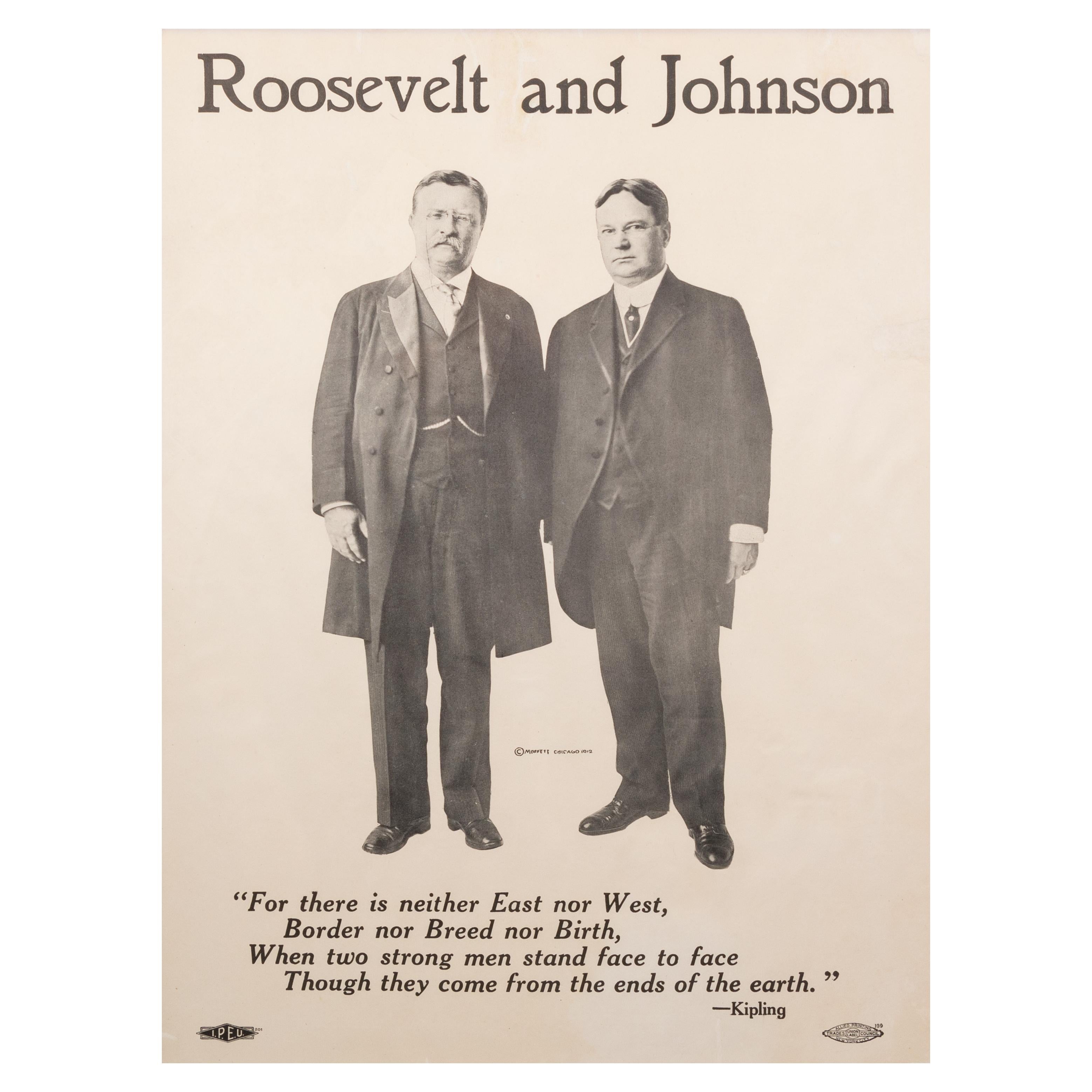 theodore roosevelt poster