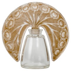1913 René Lalique Bouteille de parfum Paquerettes Roger & Gallet Verre Sepia Patina