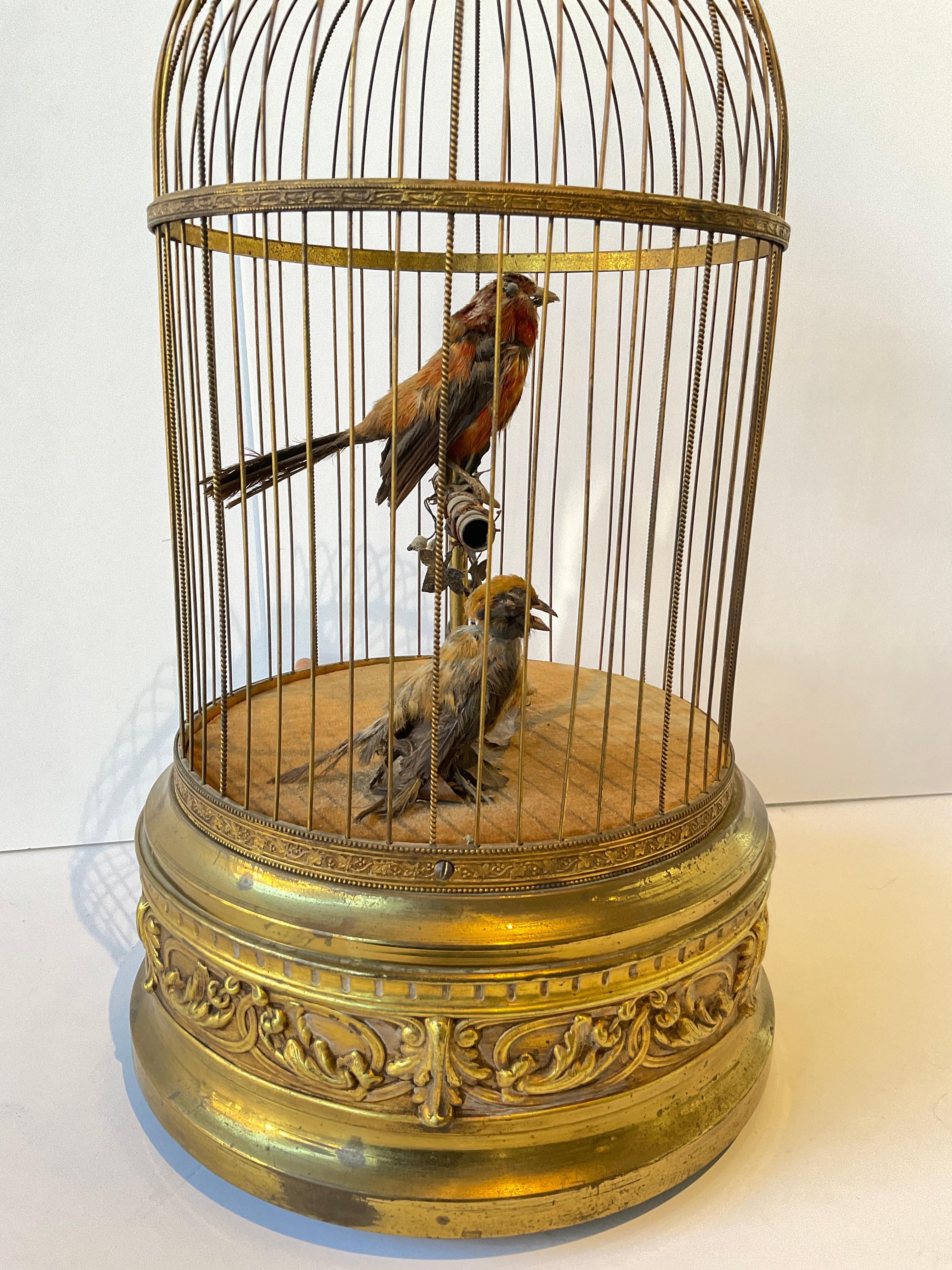 En 1915, automate français - Oiseaux chanteurs dans une cage à oiseaux 5