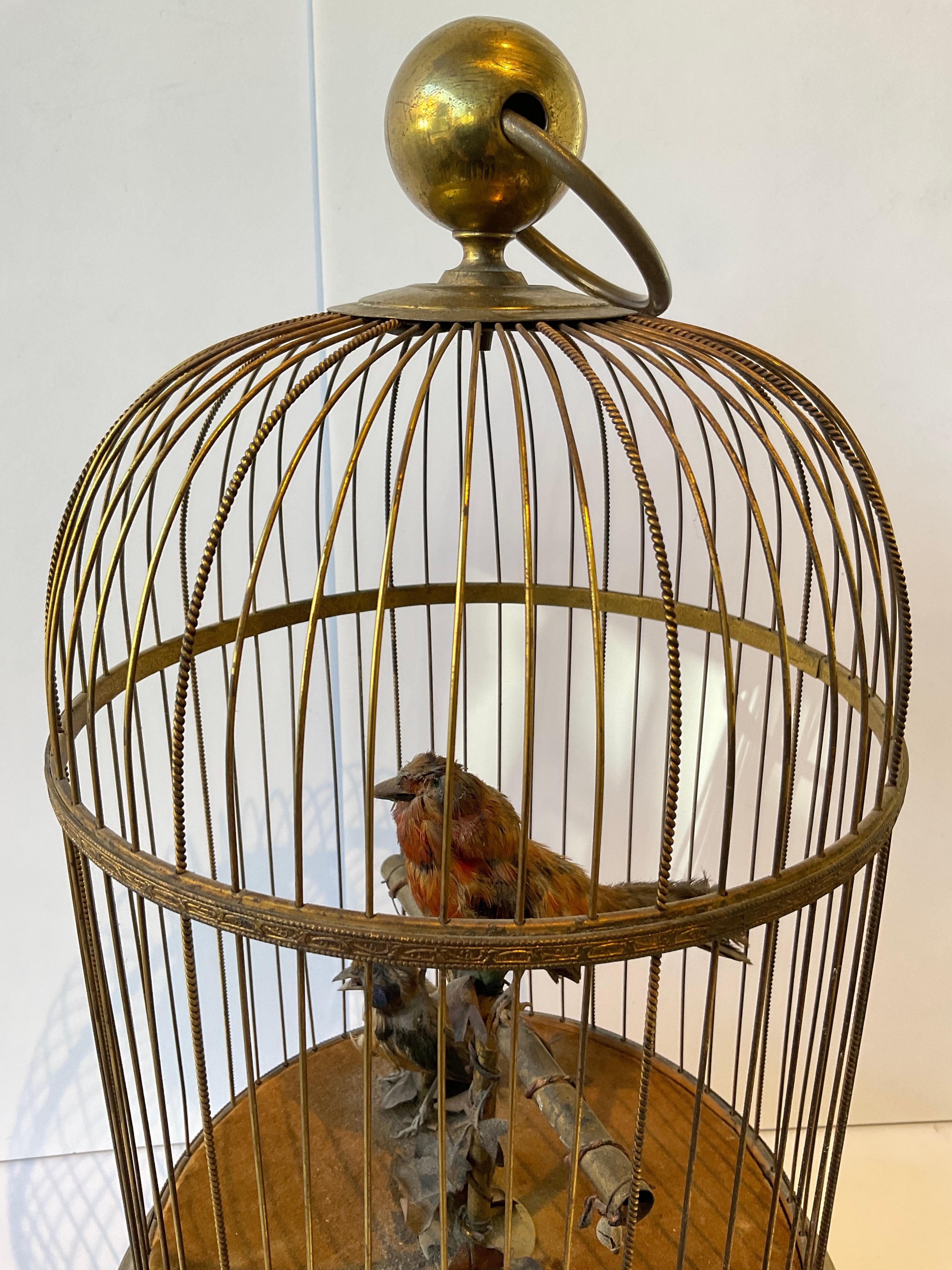 En 1915, automate français - Oiseaux chanteurs dans une cage à oiseaux 8