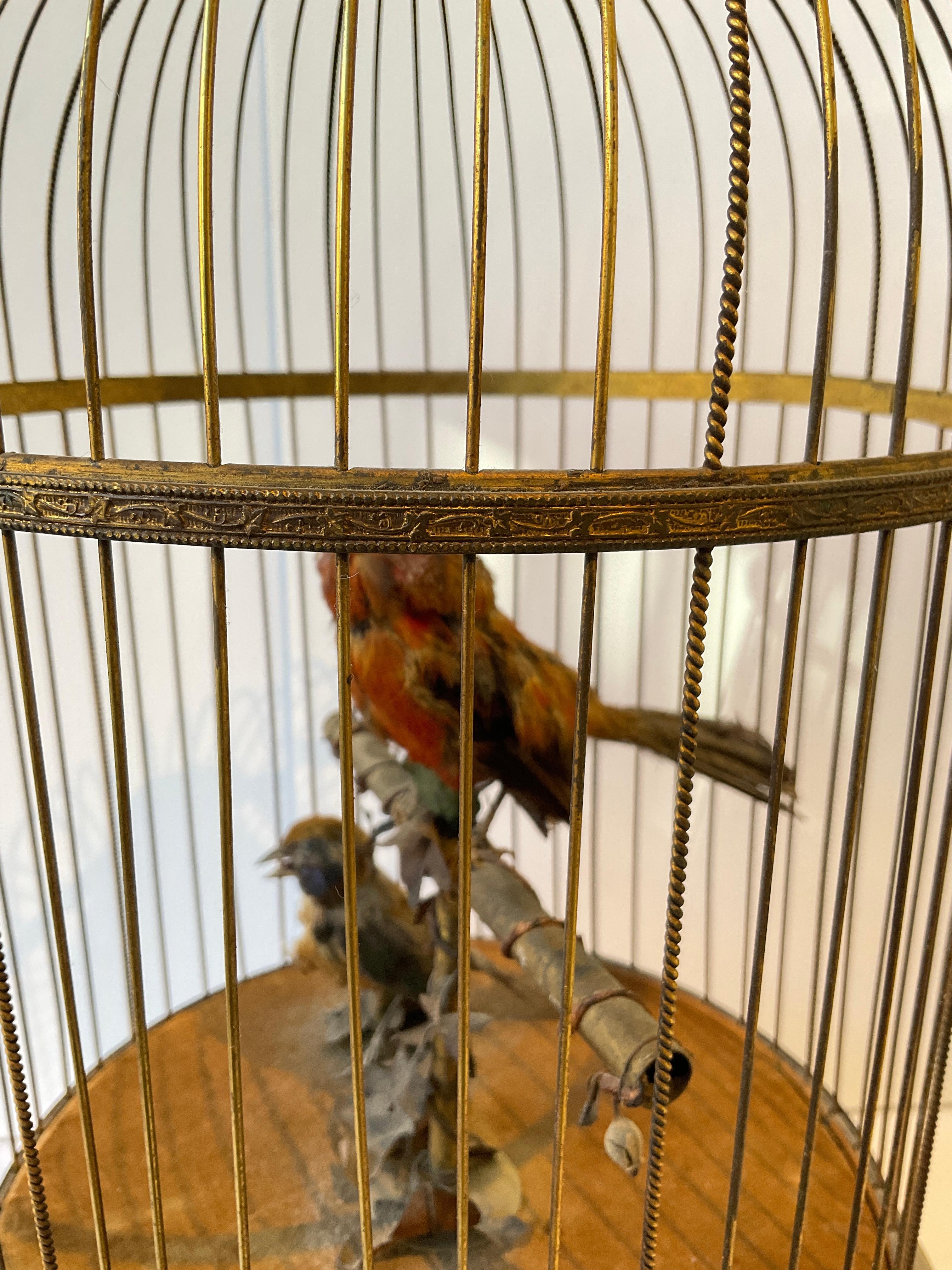 En 1915, automate français - Oiseaux chanteurs dans une cage à oiseaux 9