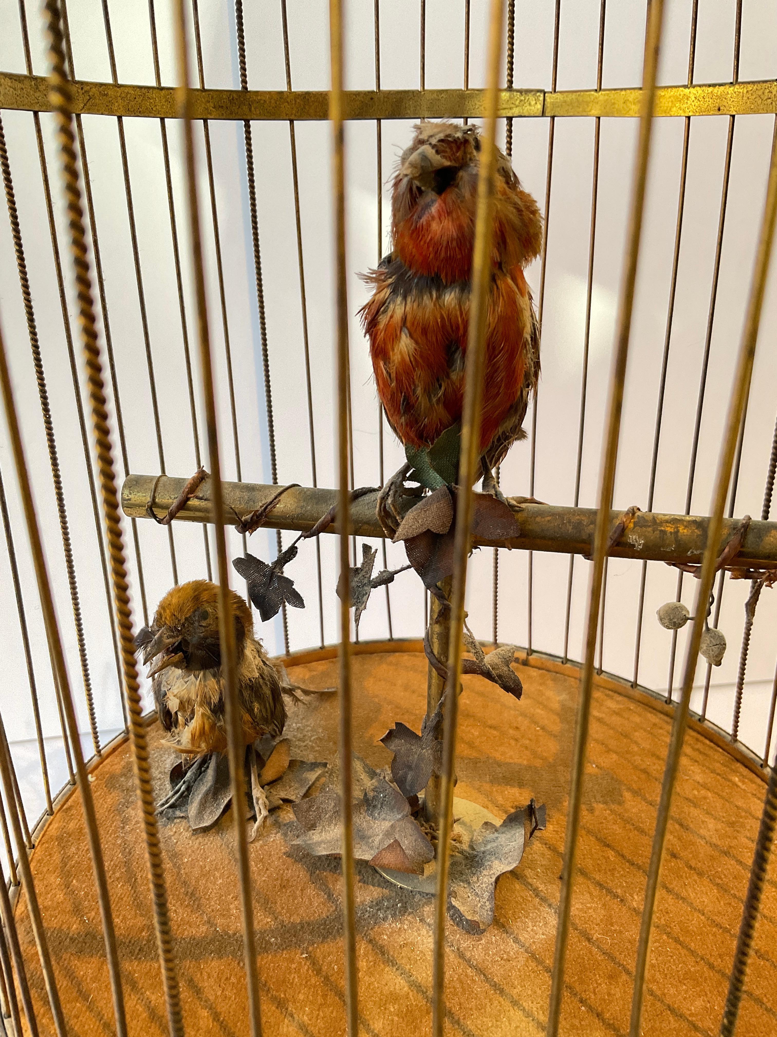 En 1915, automate français - Oiseaux chanteurs dans une cage à oiseaux 11