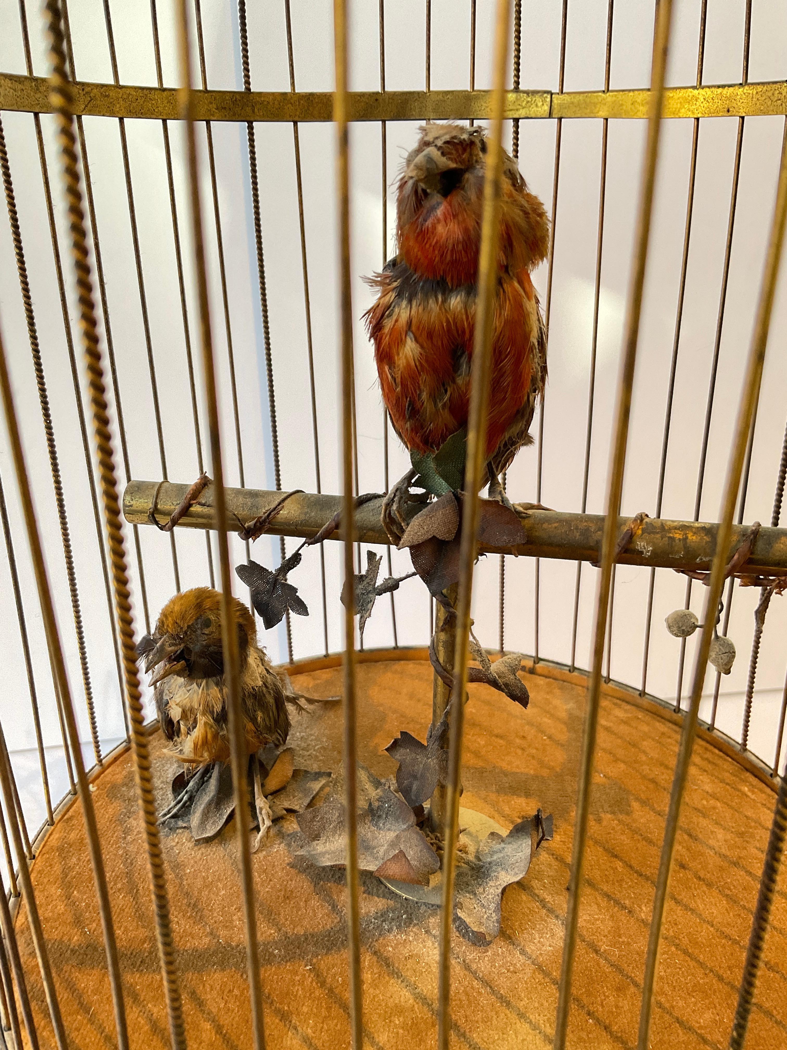 1915, French Automaton Singing Birds in Birdcage 11