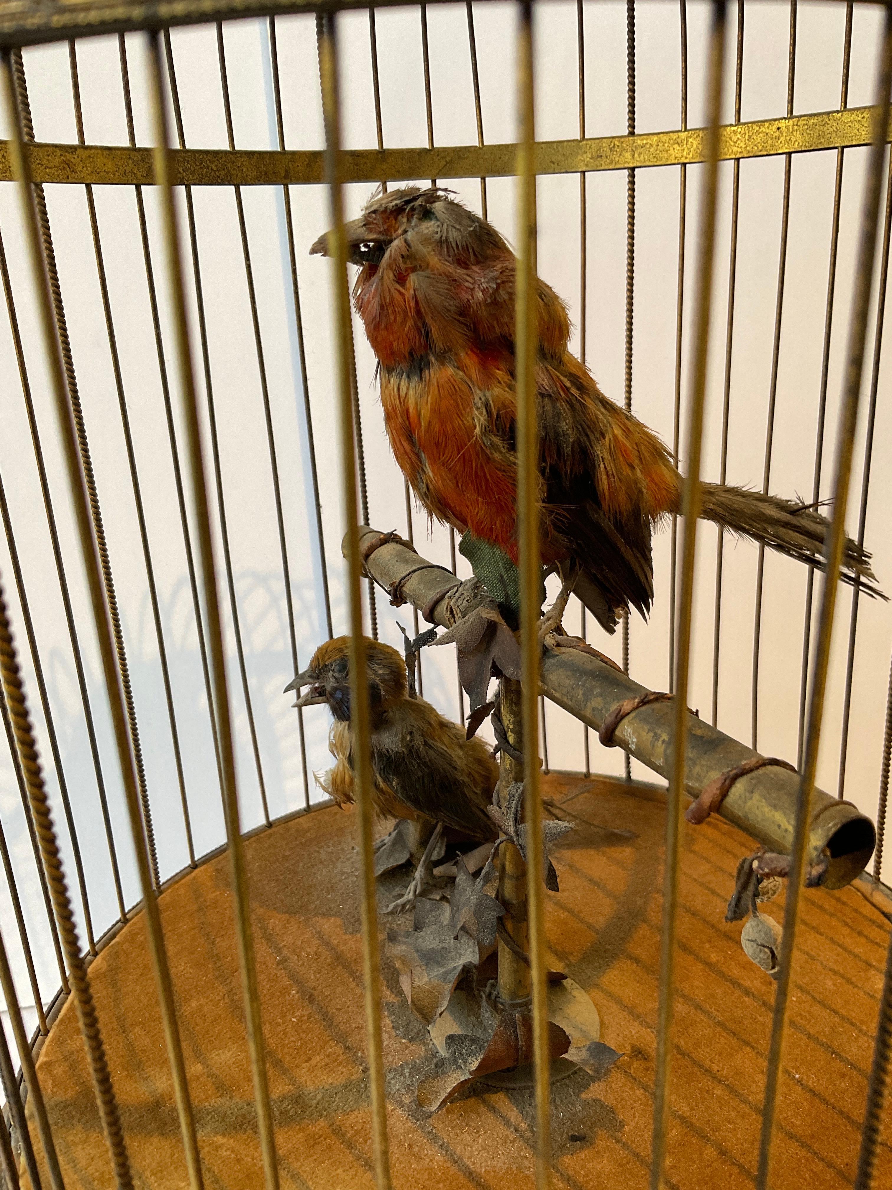 Début du 20ème siècle En 1915, automate français - Oiseaux chanteurs dans une cage à oiseaux