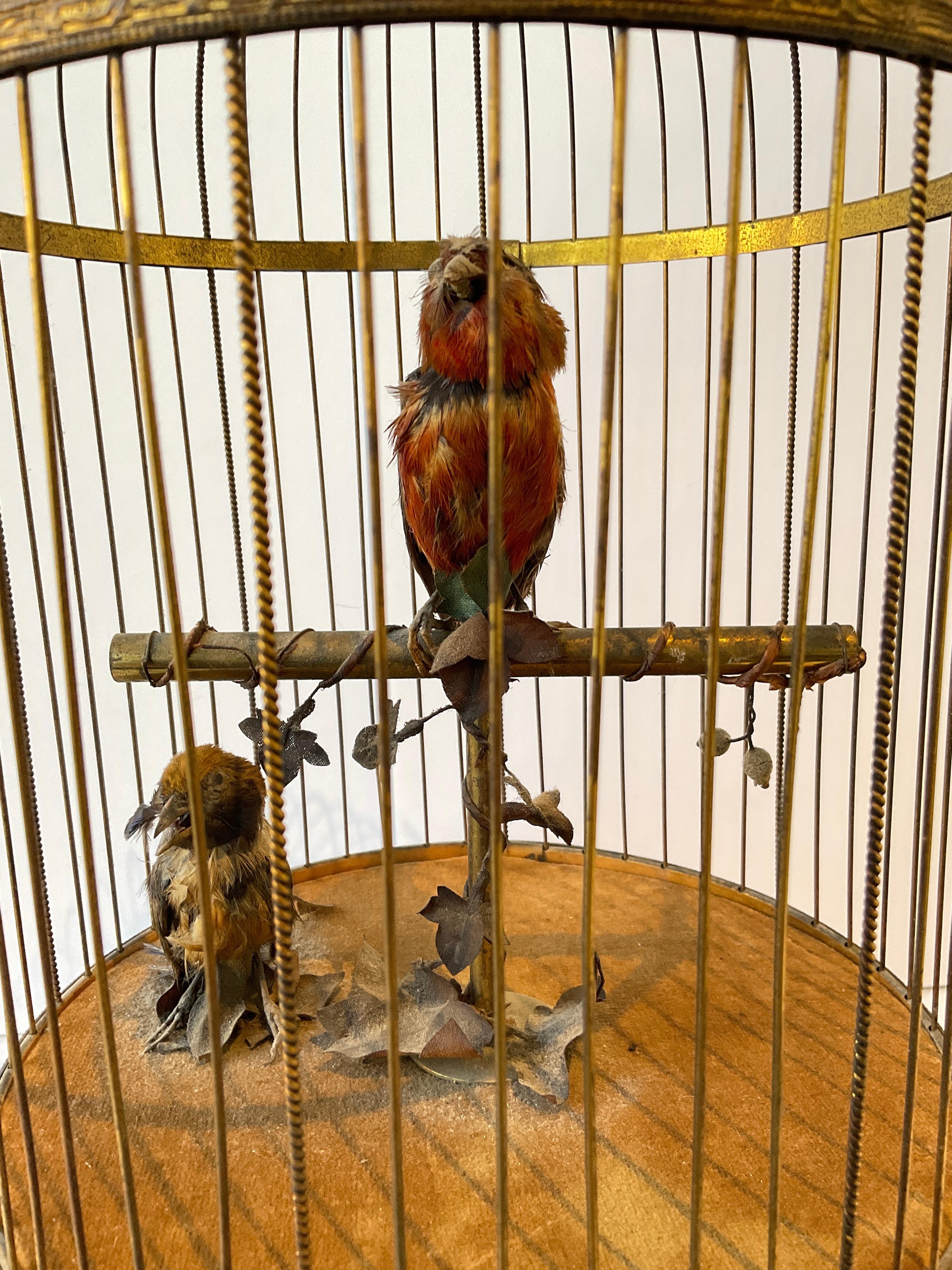 En 1915, automate français - Oiseaux chanteurs dans une cage à oiseaux 2