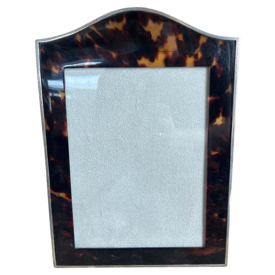 Shell Frames - 33 For Sale on 1stDibs | frame for shells, shells in ...