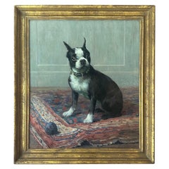 1916 Melbourne Hardwick ritratto ad olio di un cane Boston Terrier