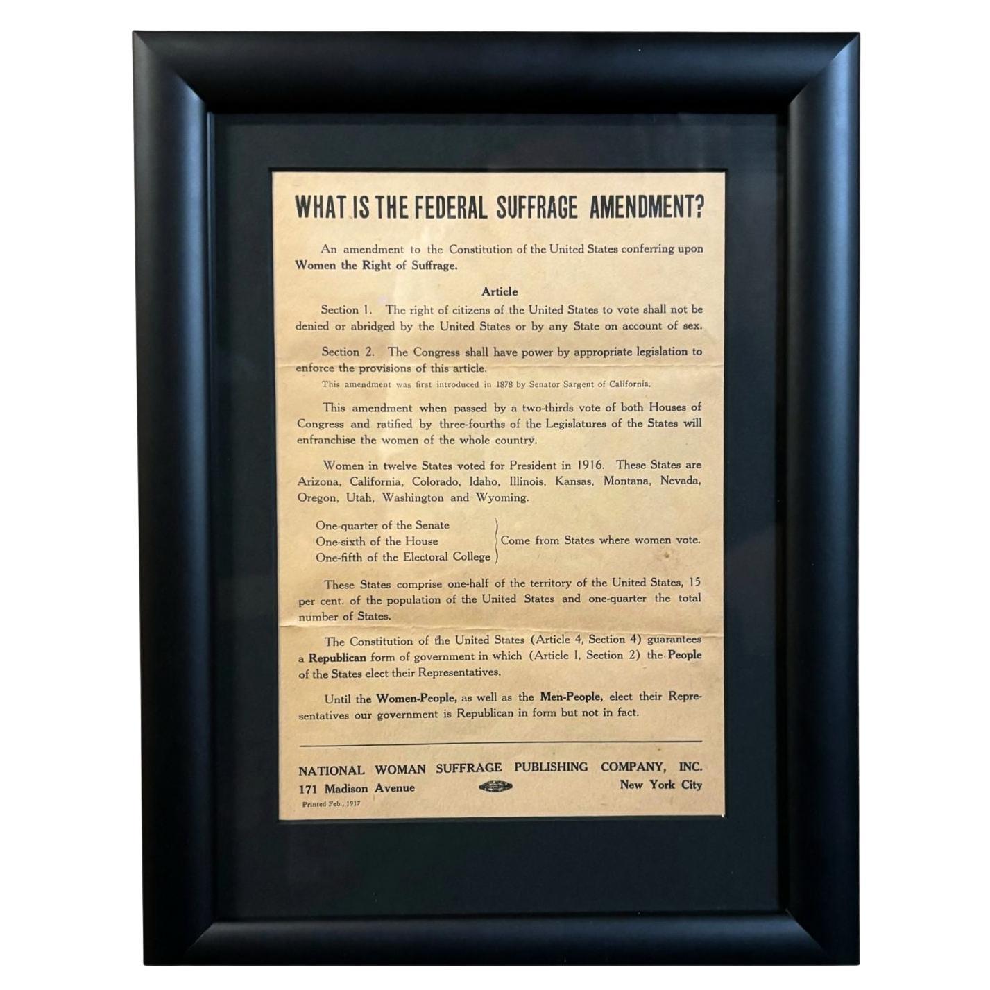 1917 "Che cos'è l'Emendamento per il Suffragio Feder?". L'articolo della National Woman Suffrage Broadside in vendita