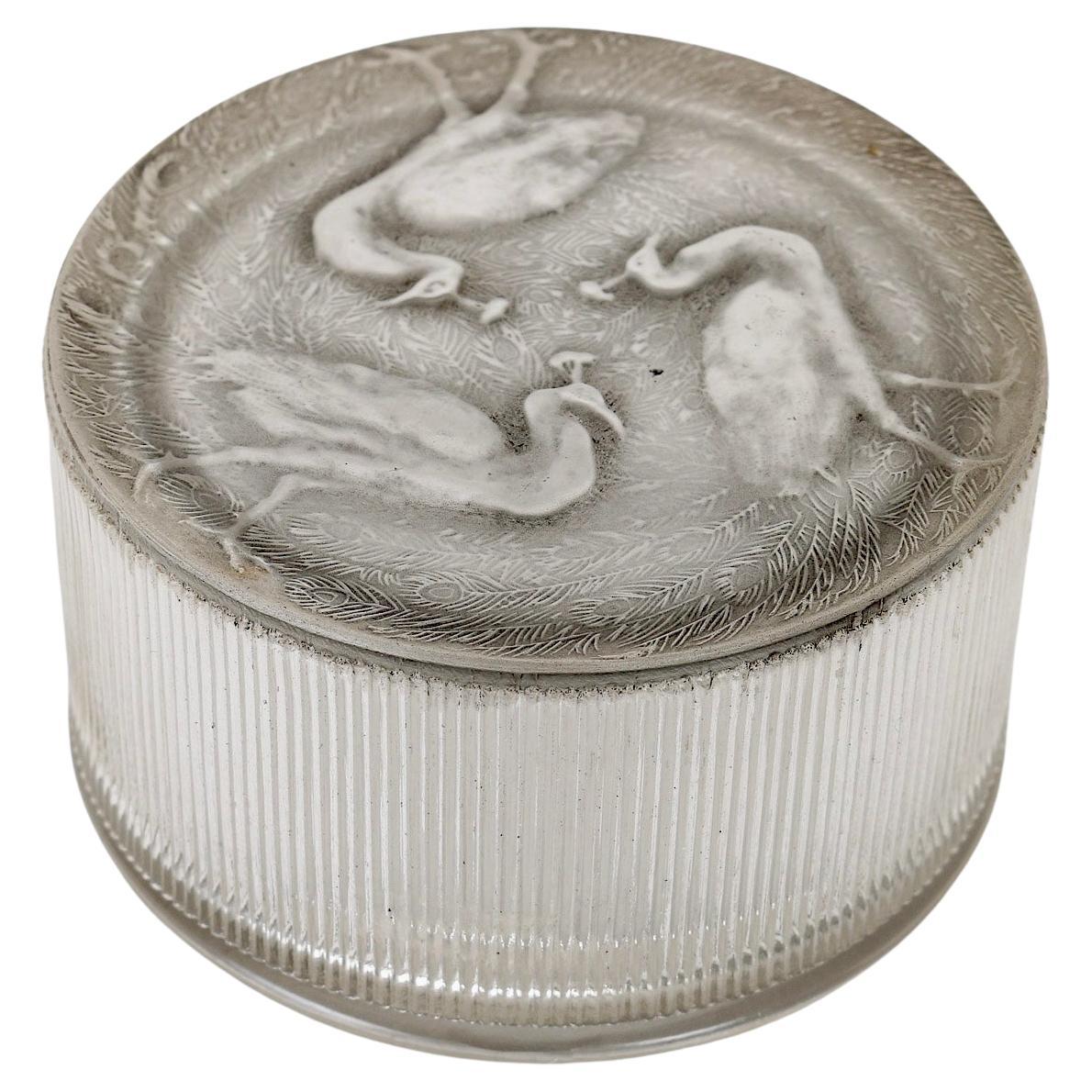 1919 René Lalique Caja Trois Paons Cristal con pavos reales pátina gris en venta