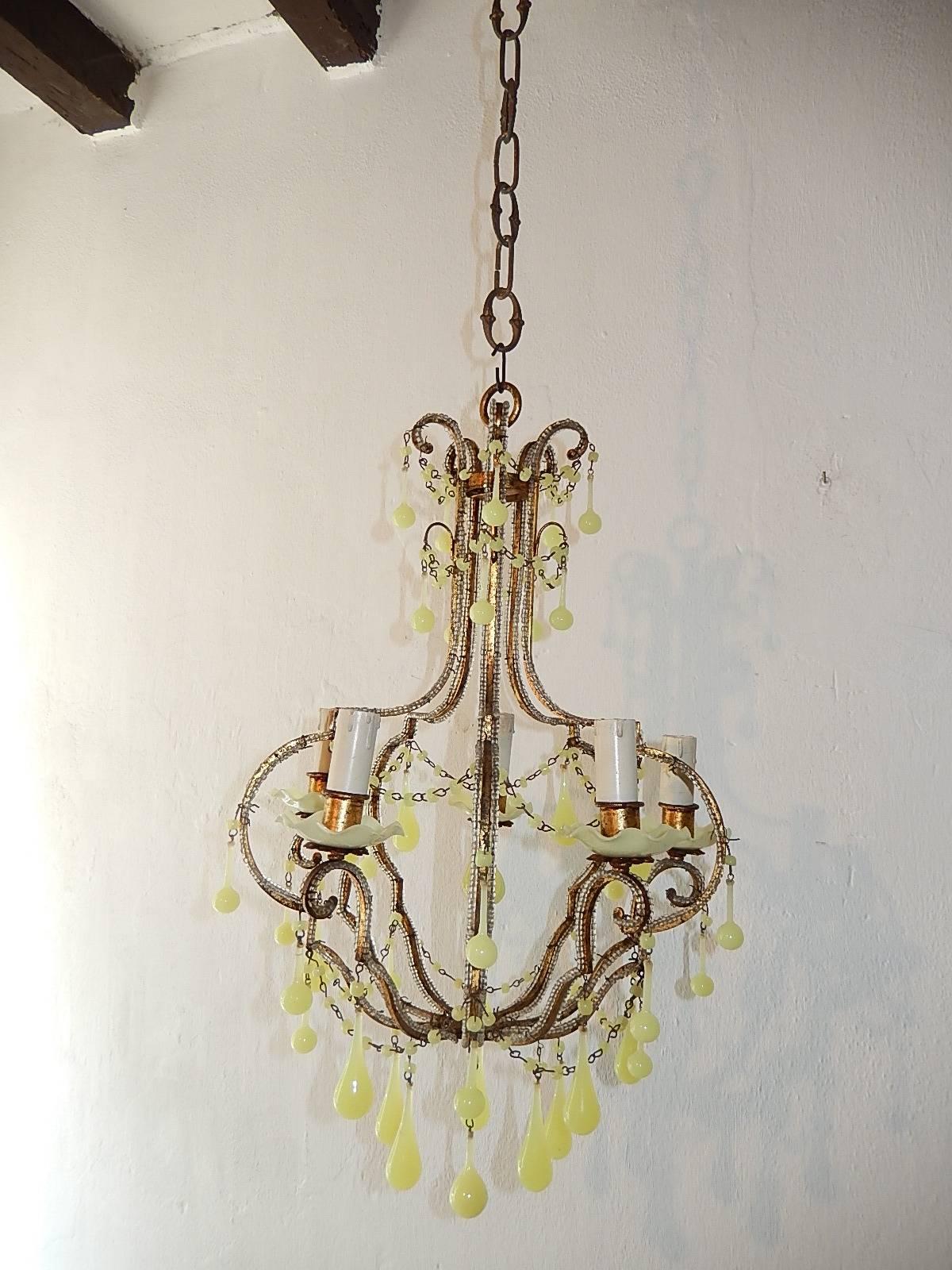 Housing five lights sitting in rare yellow ruffle opaline bobeches. Rewired and ready to hang. Double beading on gilt metal. Murano yellow opaline drops and beads throughout. Free priority shipping from Italy.
