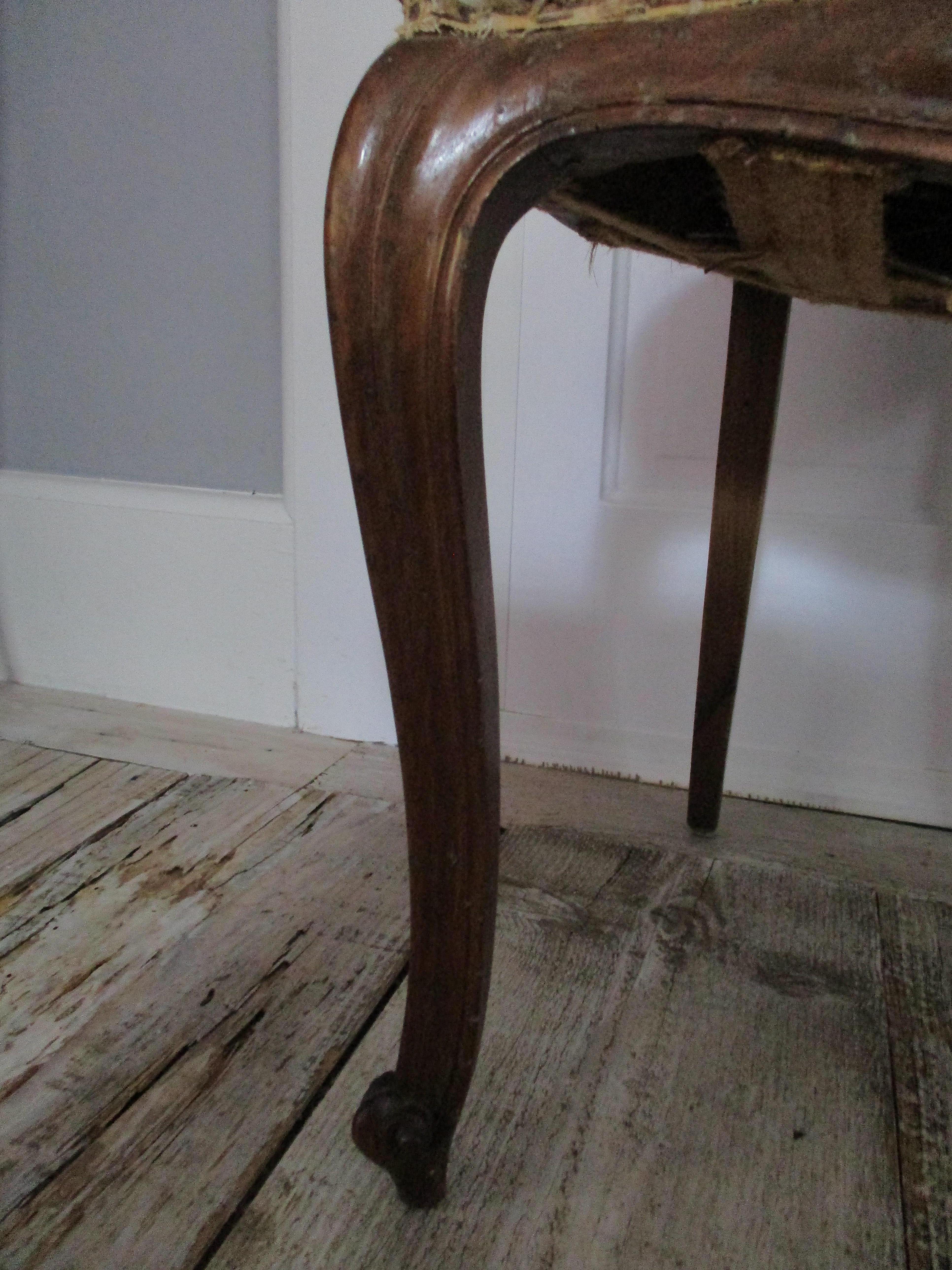 20th Century 1920 French Walnut Cane Back Chair For Sale