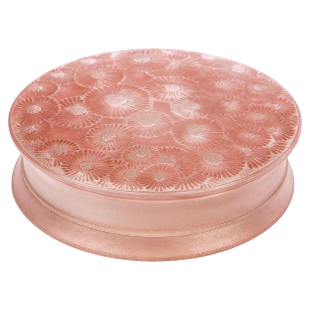 1920 René Lalique - Box Marguerites Daysies Glass With Pink Patina For Sale