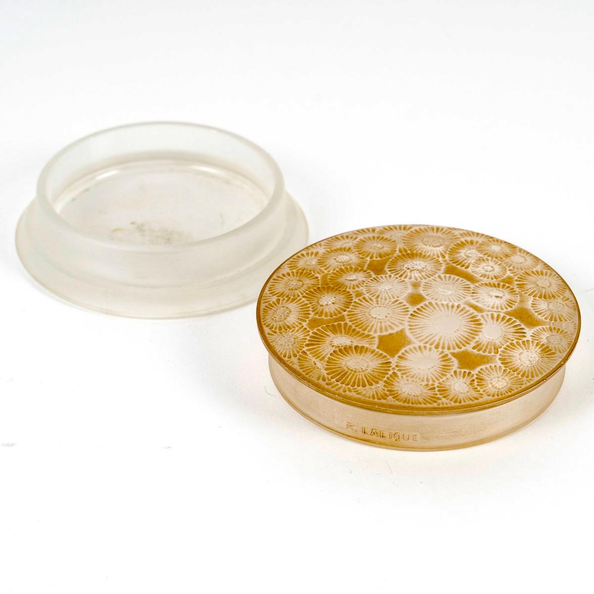French 1920 René Lalique - Box Marguerites Daysies Glass With Sepia Patina