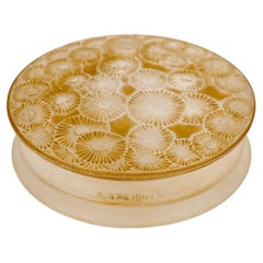 1920 René Lalique - Box Marguerites Daysies Glass With Sepia Patina