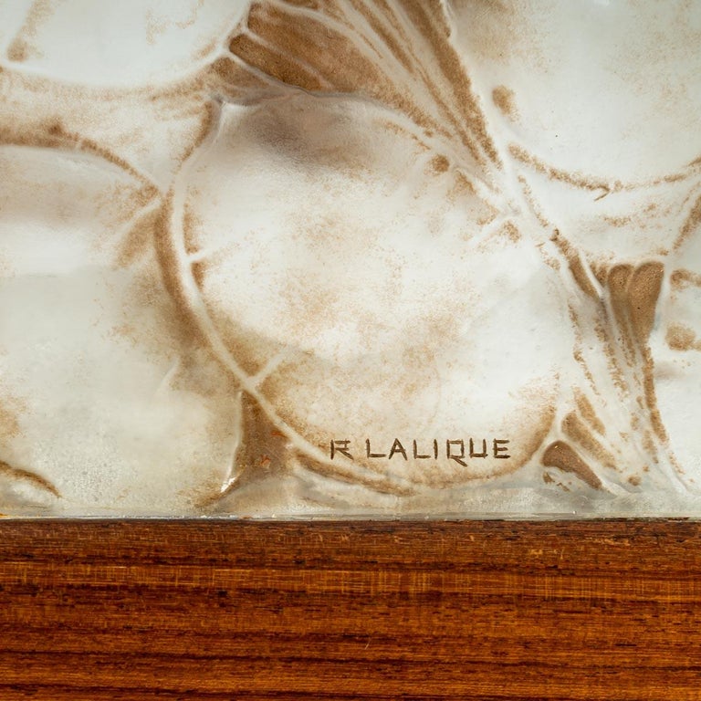 1920 René Lalique, Box Monnaie Du Pape Glass With Sepia Patina and Wood For Sale 2