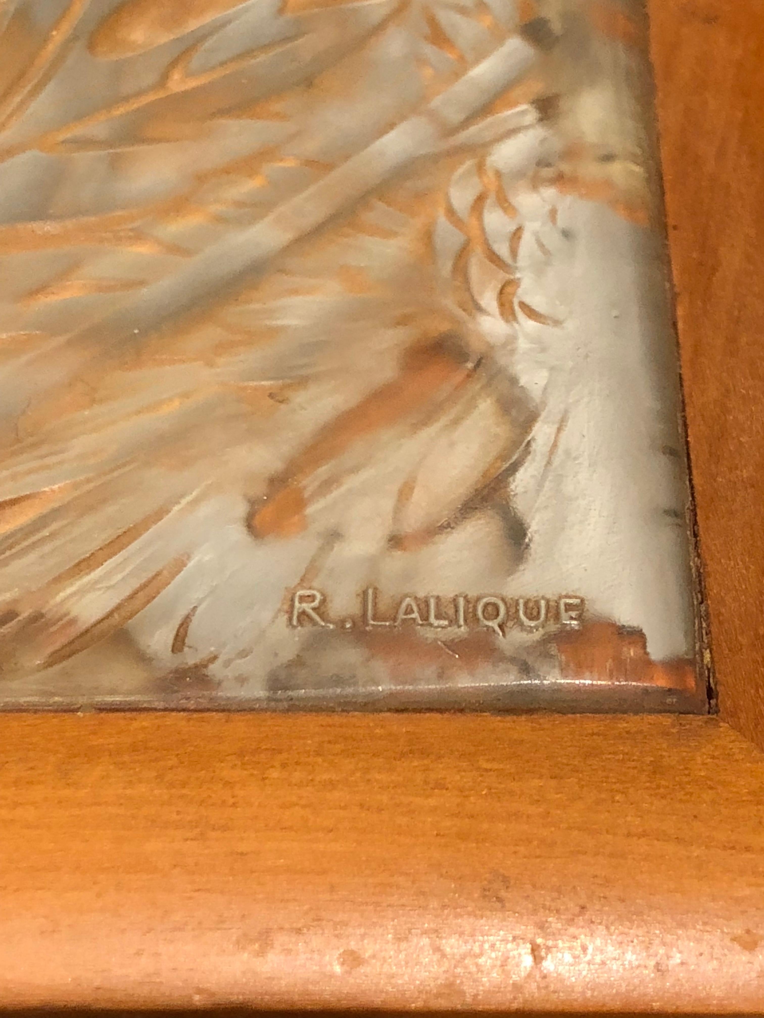 1920 René Lalique Chrysamthemes Box Wooden and Clear Glass Panel with Flowers 1