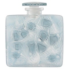 1920 René Lalique Perfume Bottle Hirondelles Glass with Blue Patina, Swallows