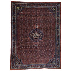 Tapis persan Bidjar vintage à poils longs et propre de 1920