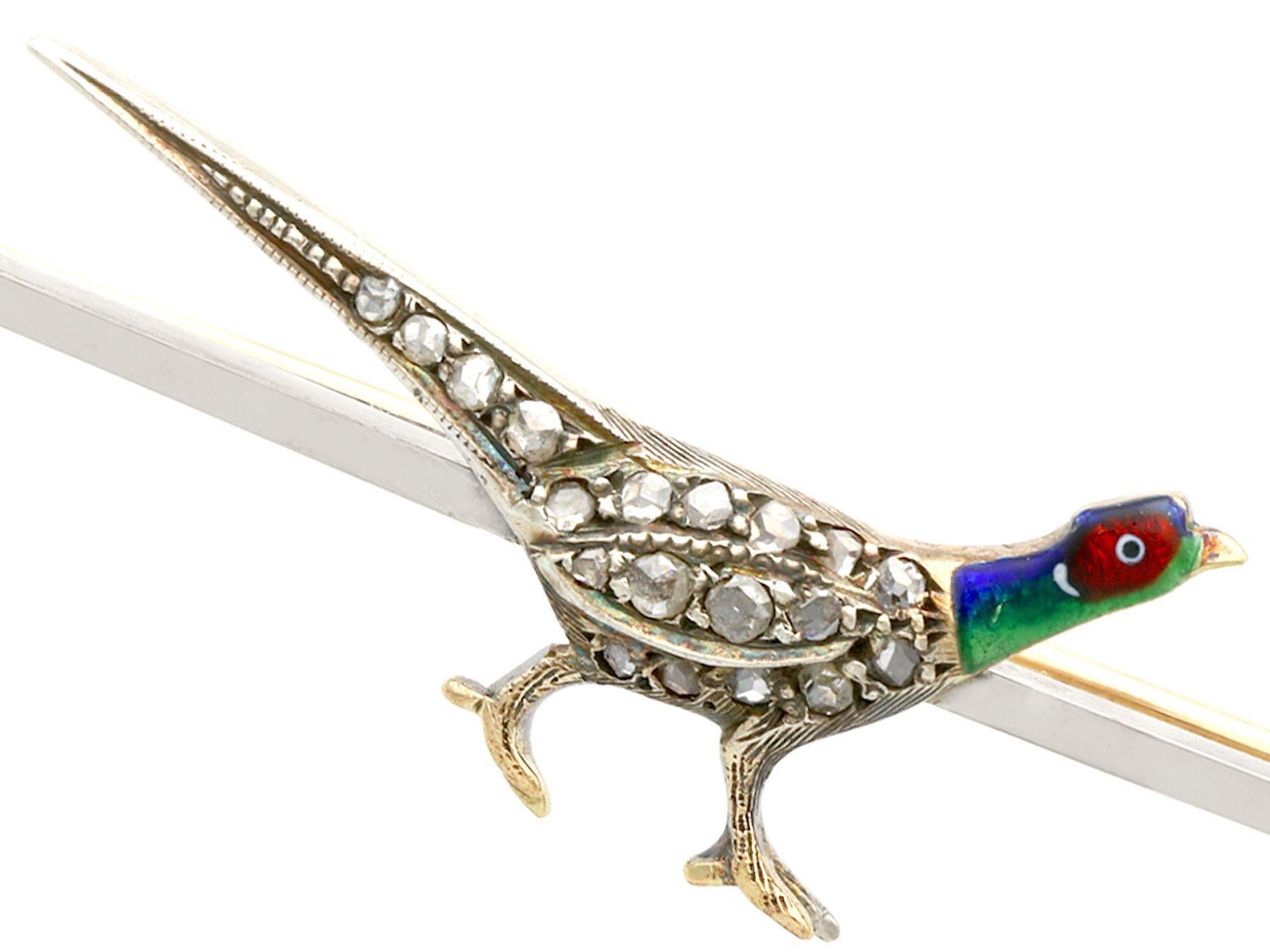 silver amethyst golden pheasant