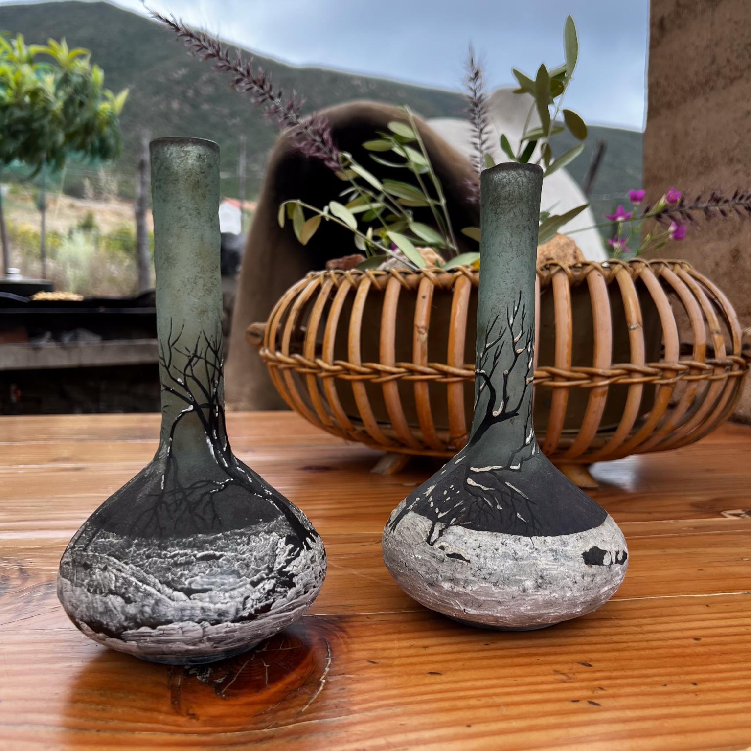 Français Vases d'art en verre camée Art déco des années 1920 par Andre Delatte Nancy, France