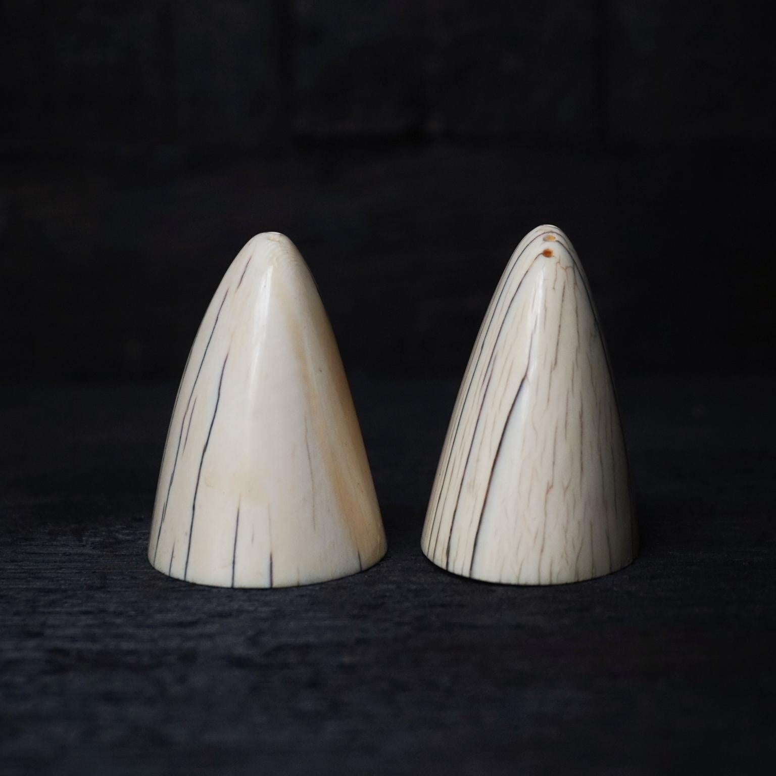 Art déco Salière et poivrière Art Déco des années 1920 Tip of Walrus Tusks avec fond en argent