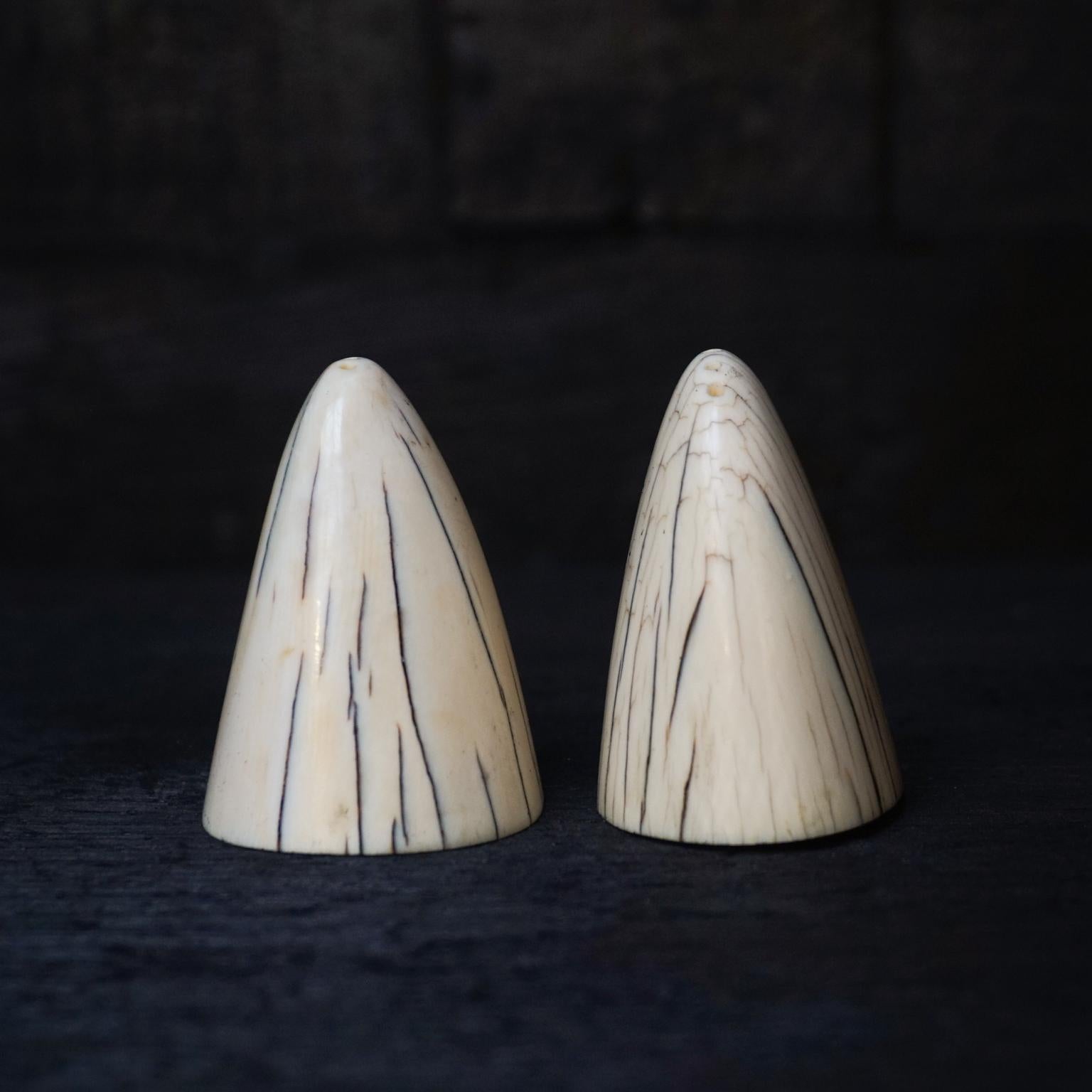 German 1920s Art Deco Tip of Walrus Tusks Salt and Pepper Shakers with Silver Bottom For Sale