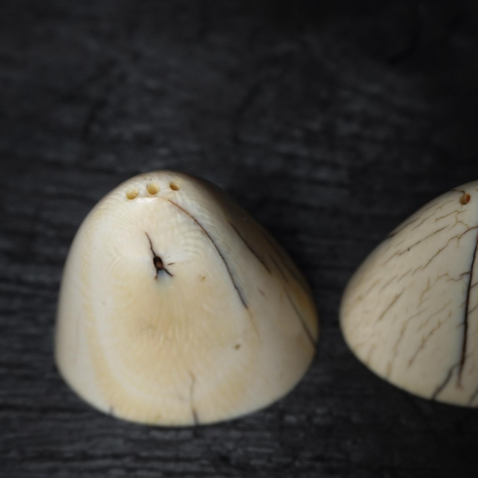 1920s Art Deco Tip of Walrus Tusks Salt and Pepper Shakers with Silver Bottom In Good Condition For Sale In Haarlem, NL