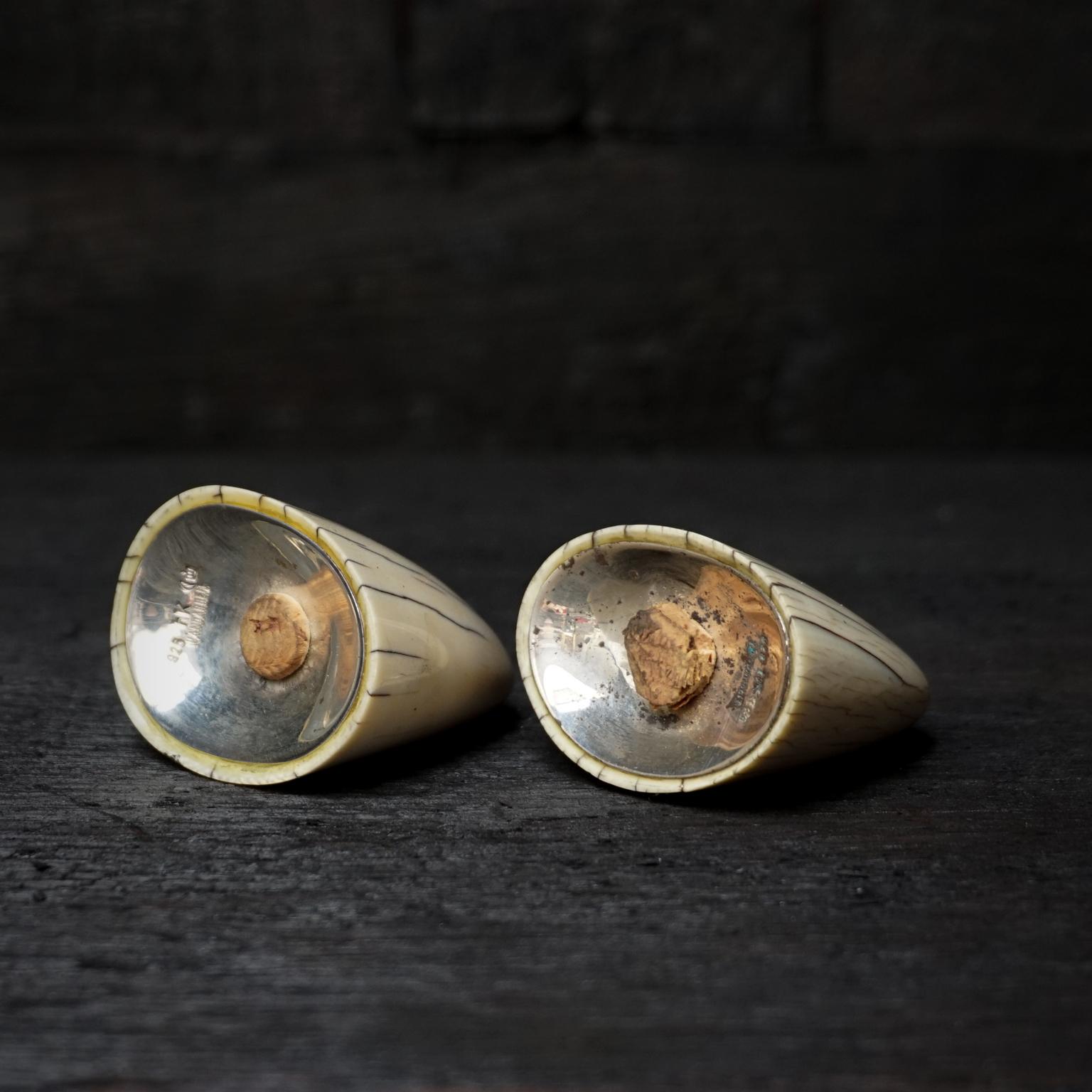 Salière et poivrière Art Déco des années 1920 Tip of Walrus Tusks avec fond en argent 2