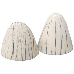 1920s Art Deco Tip of Walrus Tusks Salt and Pepper Shakers with Silver Bottom