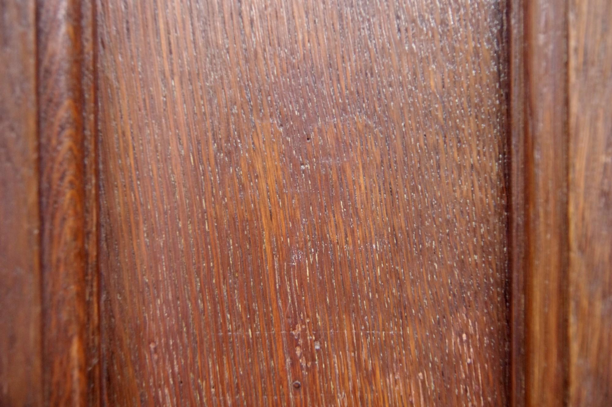 1920s Arts & Crafts Chestnut Privacy Door 9 Panel 1