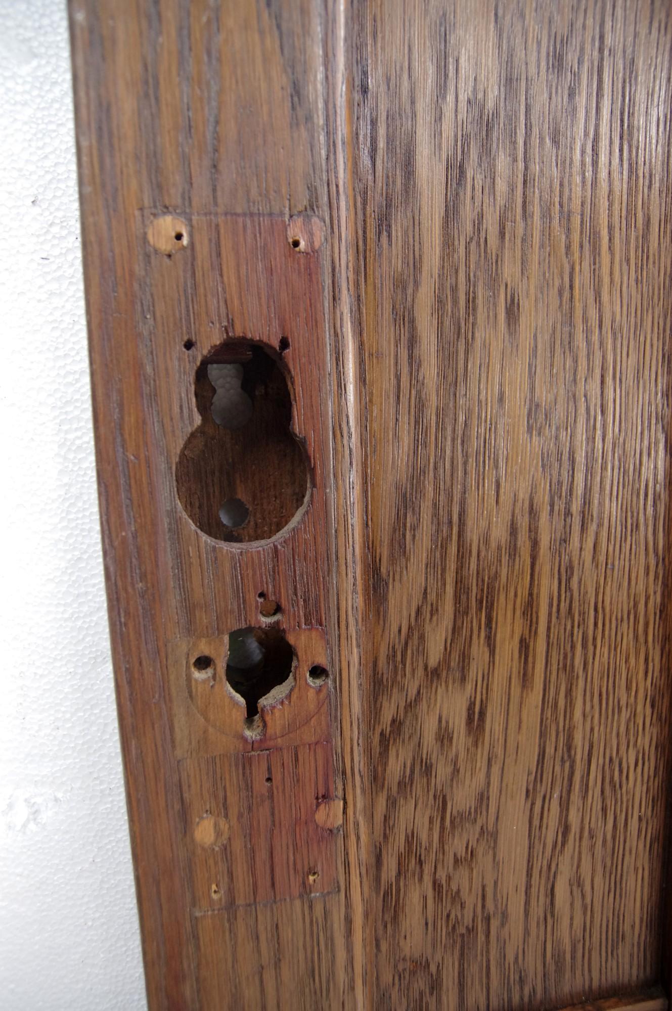 American 1920s Arts & Crafts Chestnut Privacy Door 9 Panel