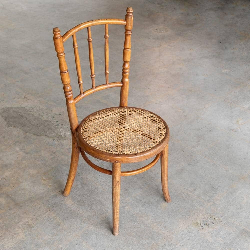 Canne Chaise en bois courbé et en rotin des années 1920 en vente