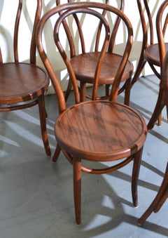 1920's, Bentwood Dining Chairs Set of 6