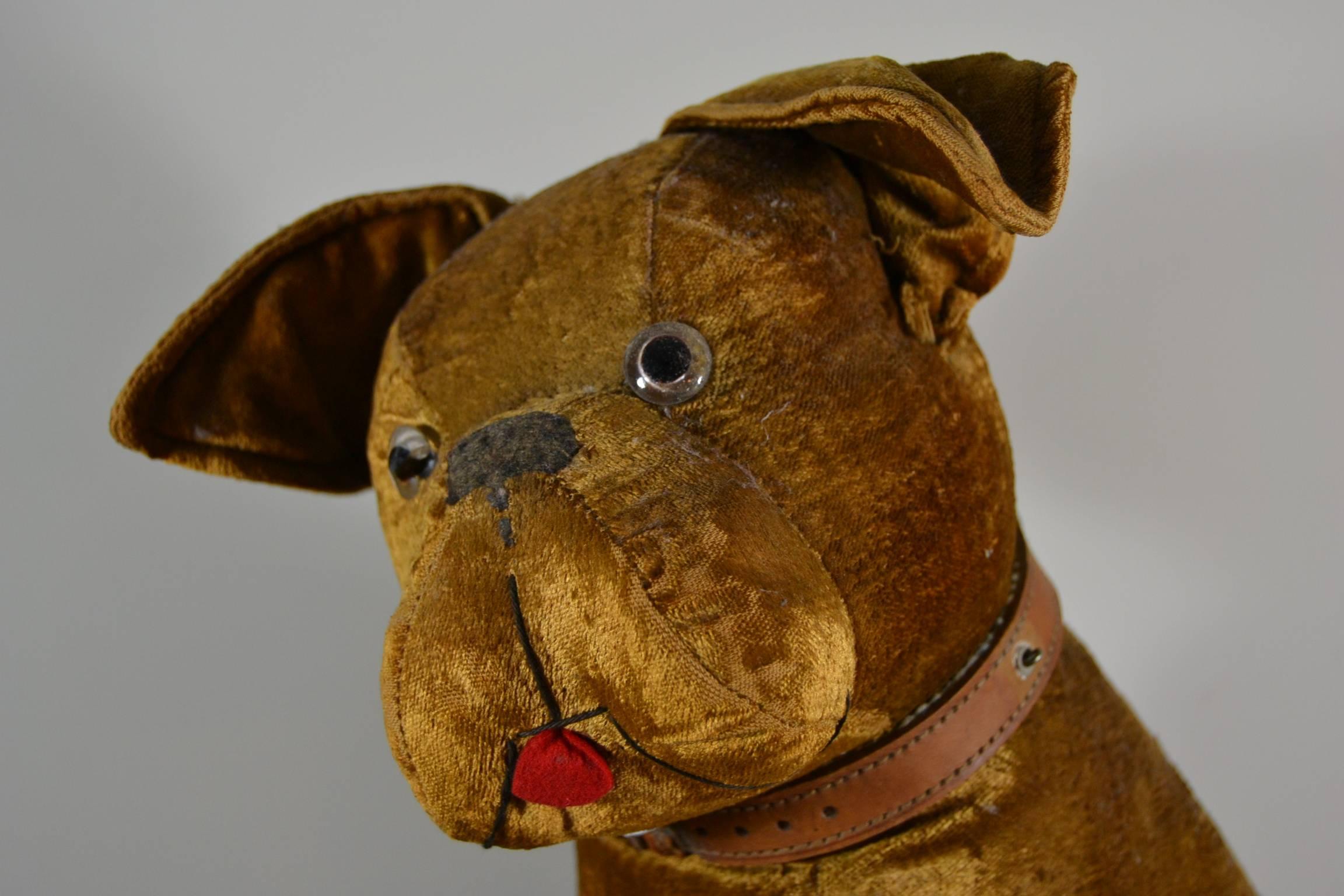 Européen Jouet bulldog ancien, velours à volants de paille, années 1920, Europe  en vente