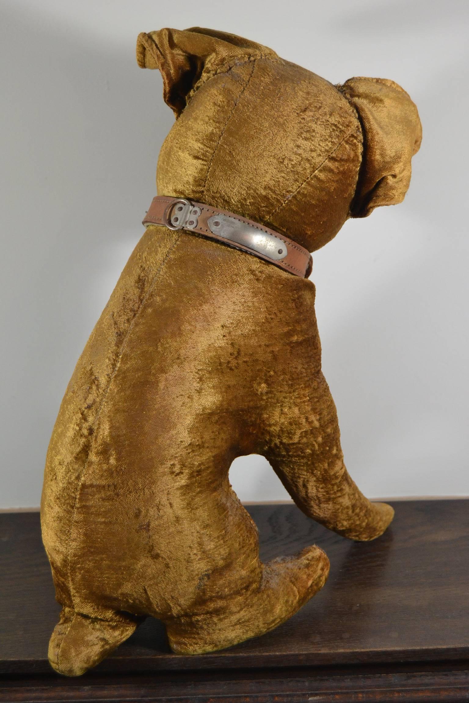 Antike Bulldogge Spielzeug, Stroh gefüllte Samt, 1920er Jahre, Europa  (20. Jahrhundert) im Angebot